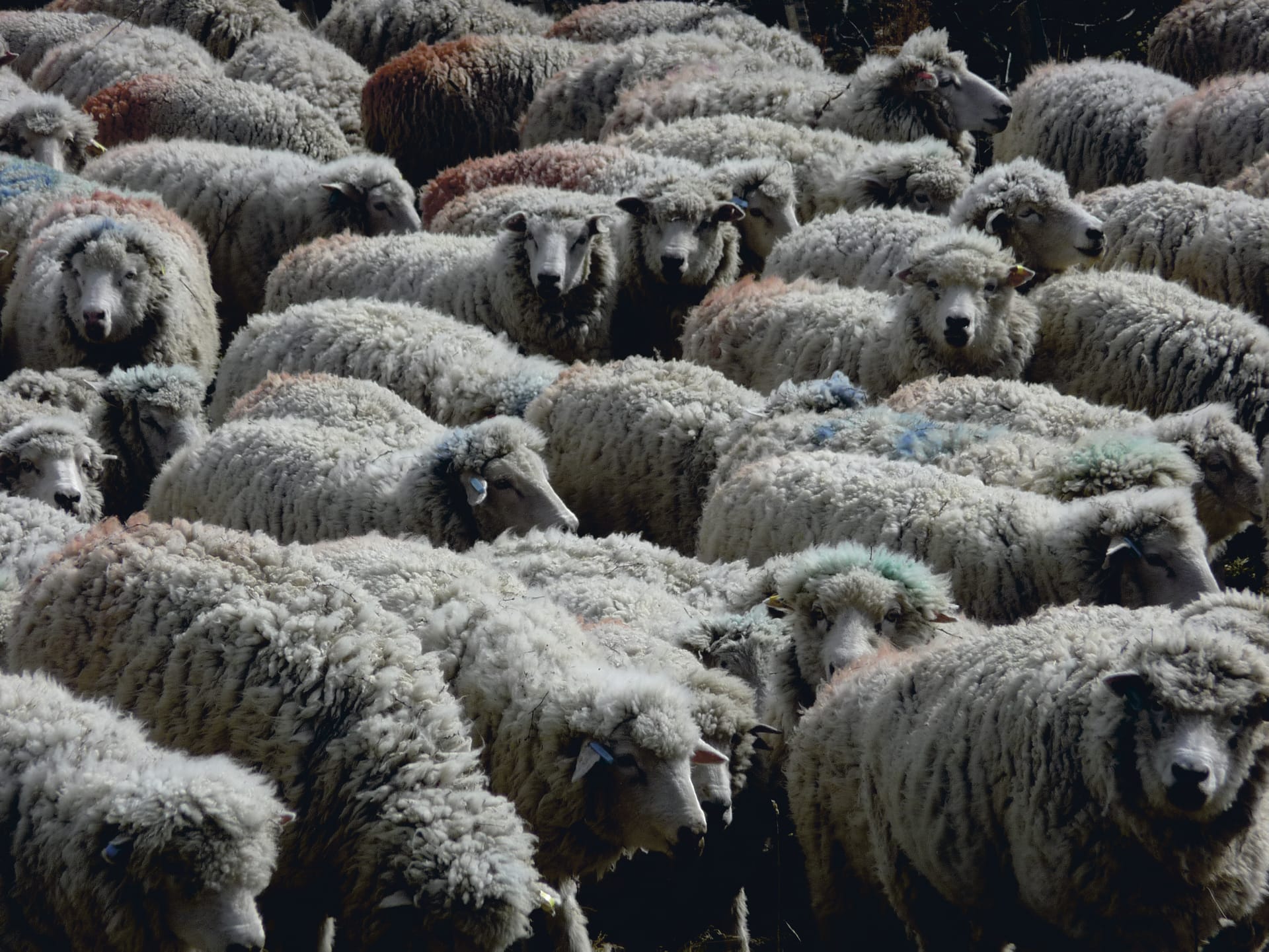 SAM_CHI_006_20130712_PP