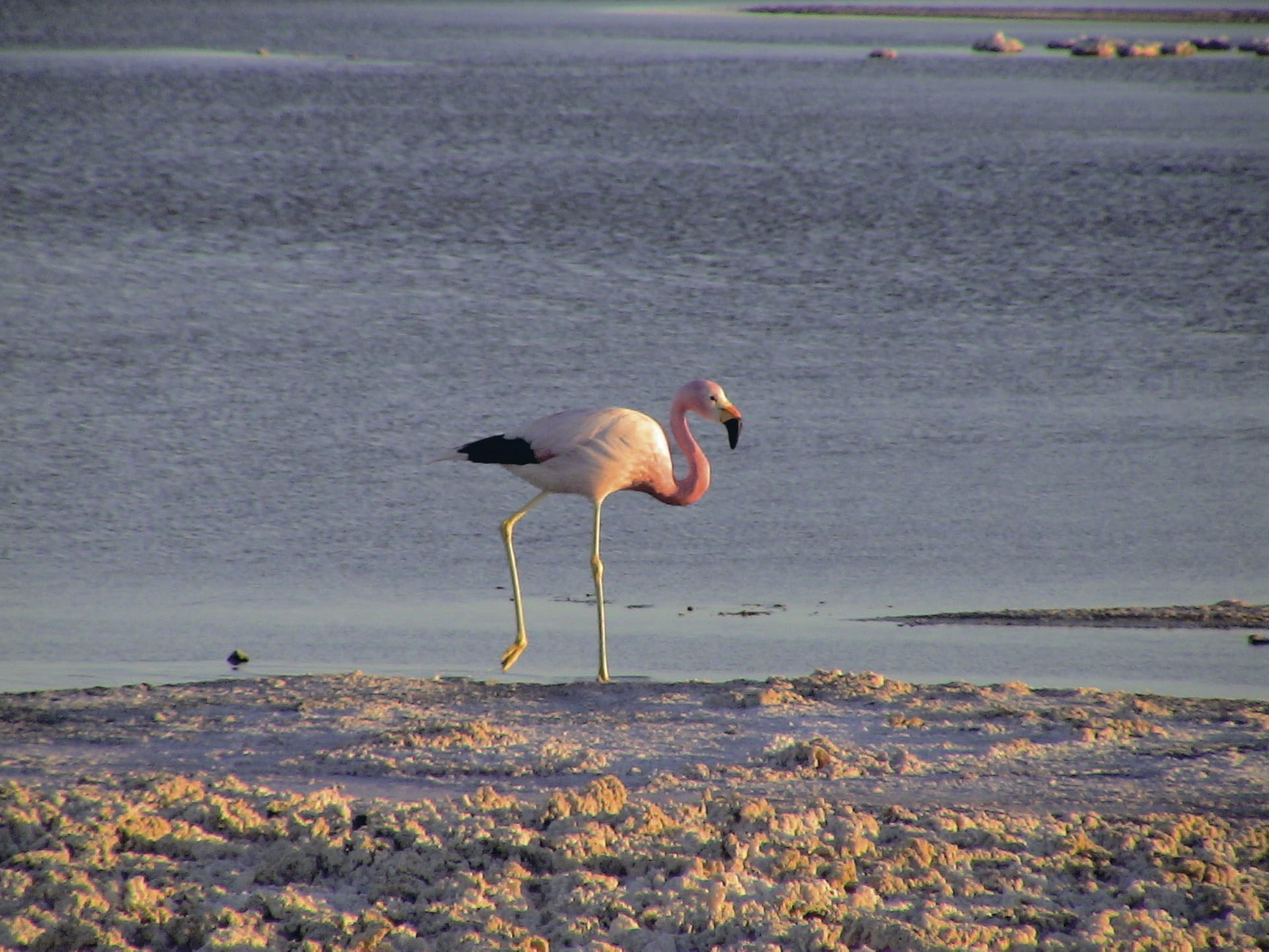 SAM_CHI_029_20130625_PP