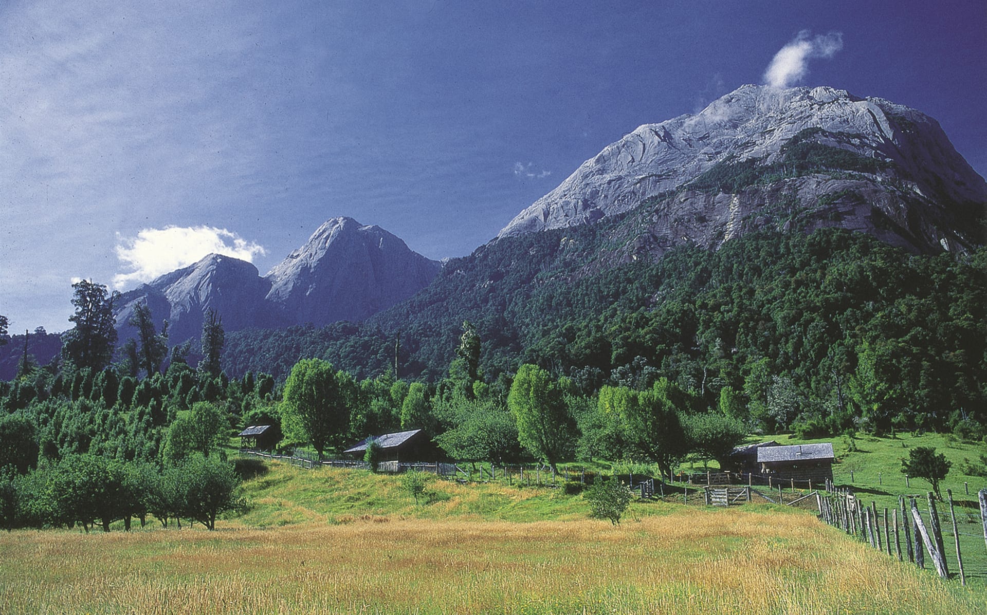 SAM_CHI_048_20090619_IVB