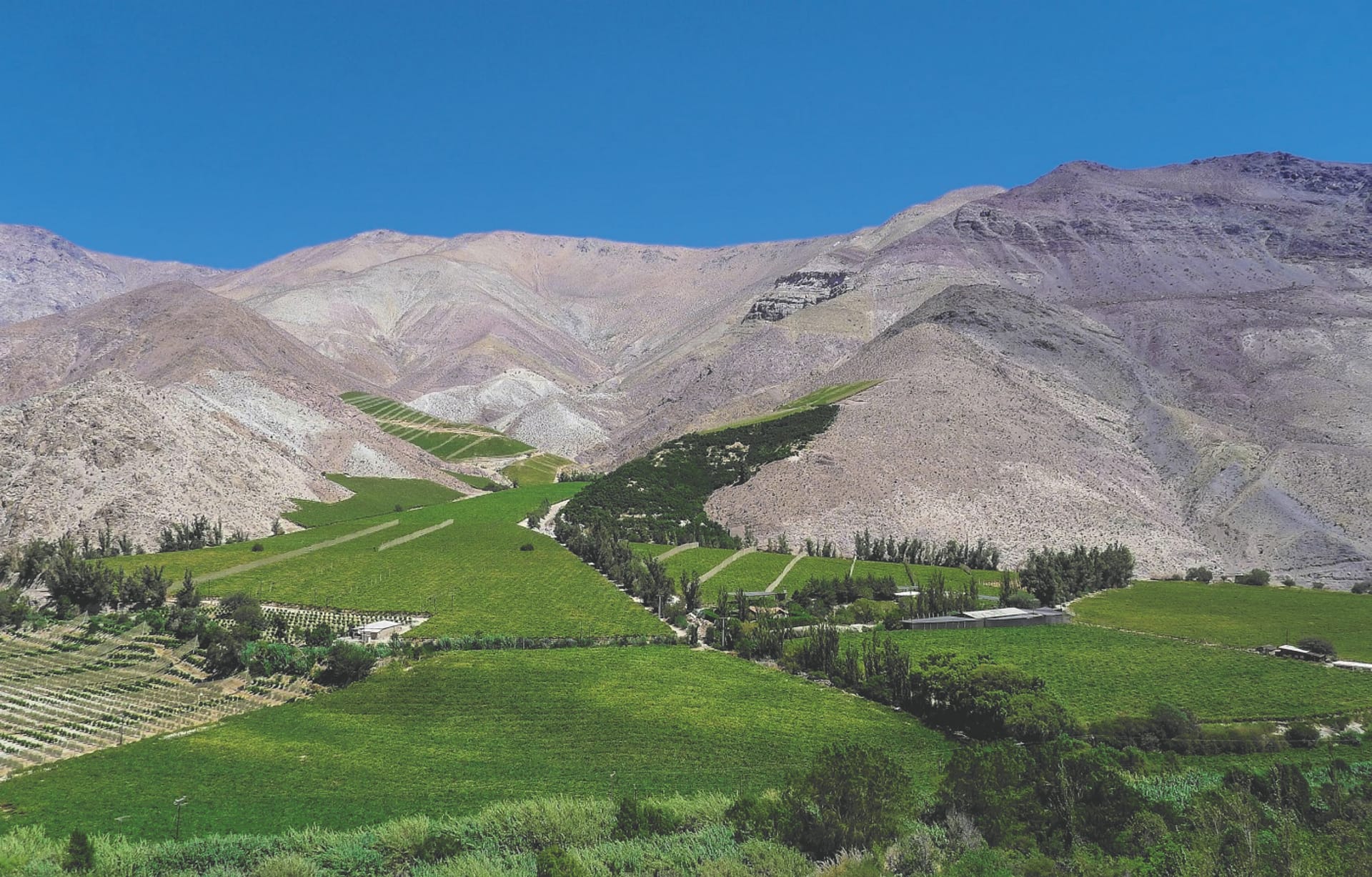 SAM_CHI_051_20160917_PP