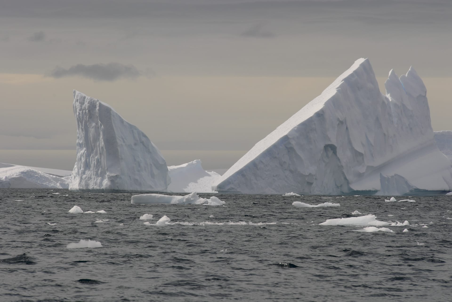 SAM_CHI_055_20120903_PP