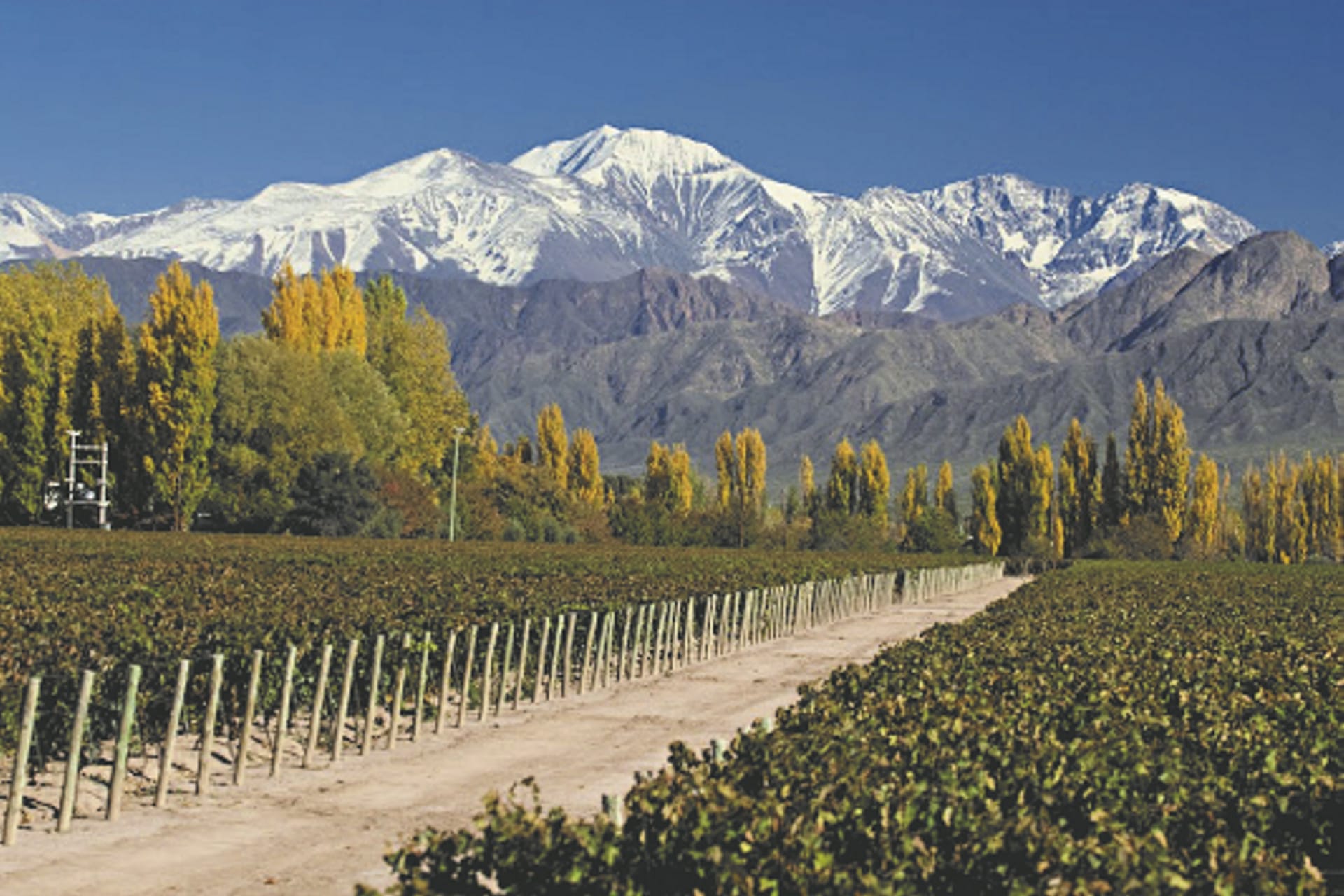 SAM_CHI_055_20160917_PP