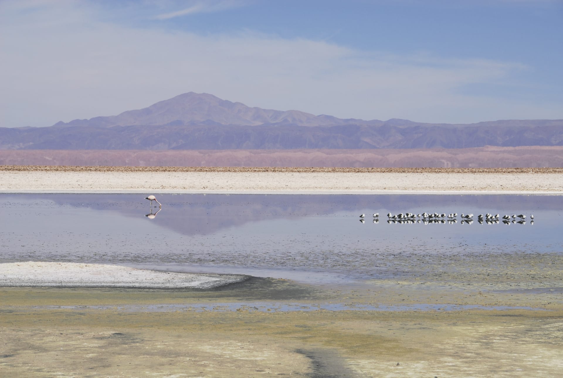 SAM_CHI_074_20140819_PP