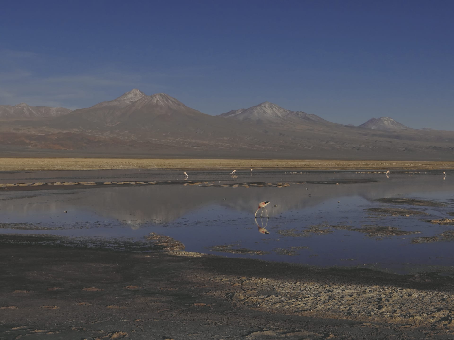 SAM_CHI_085_20161022_PP