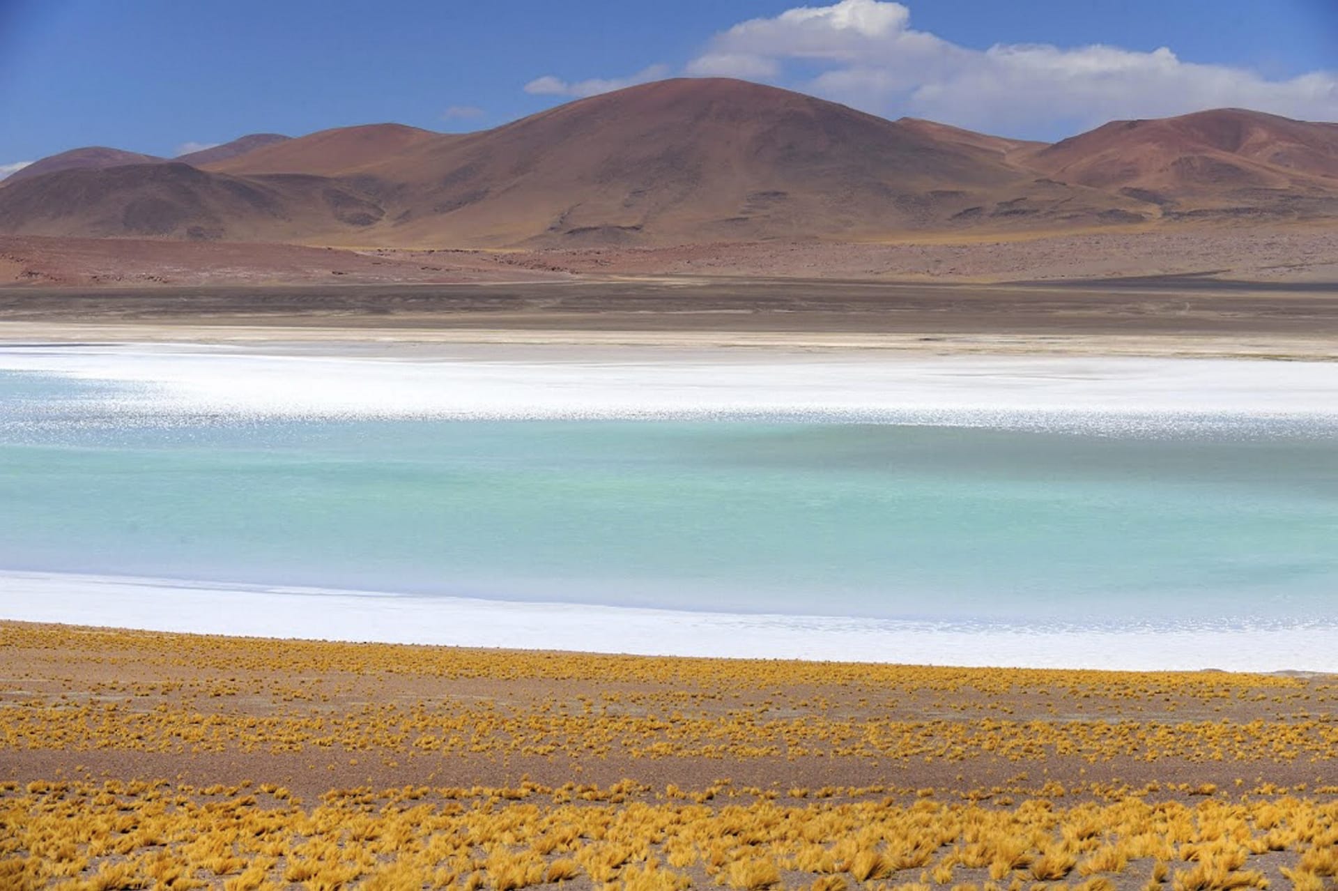 SAM_CHI_099_20140625_PP