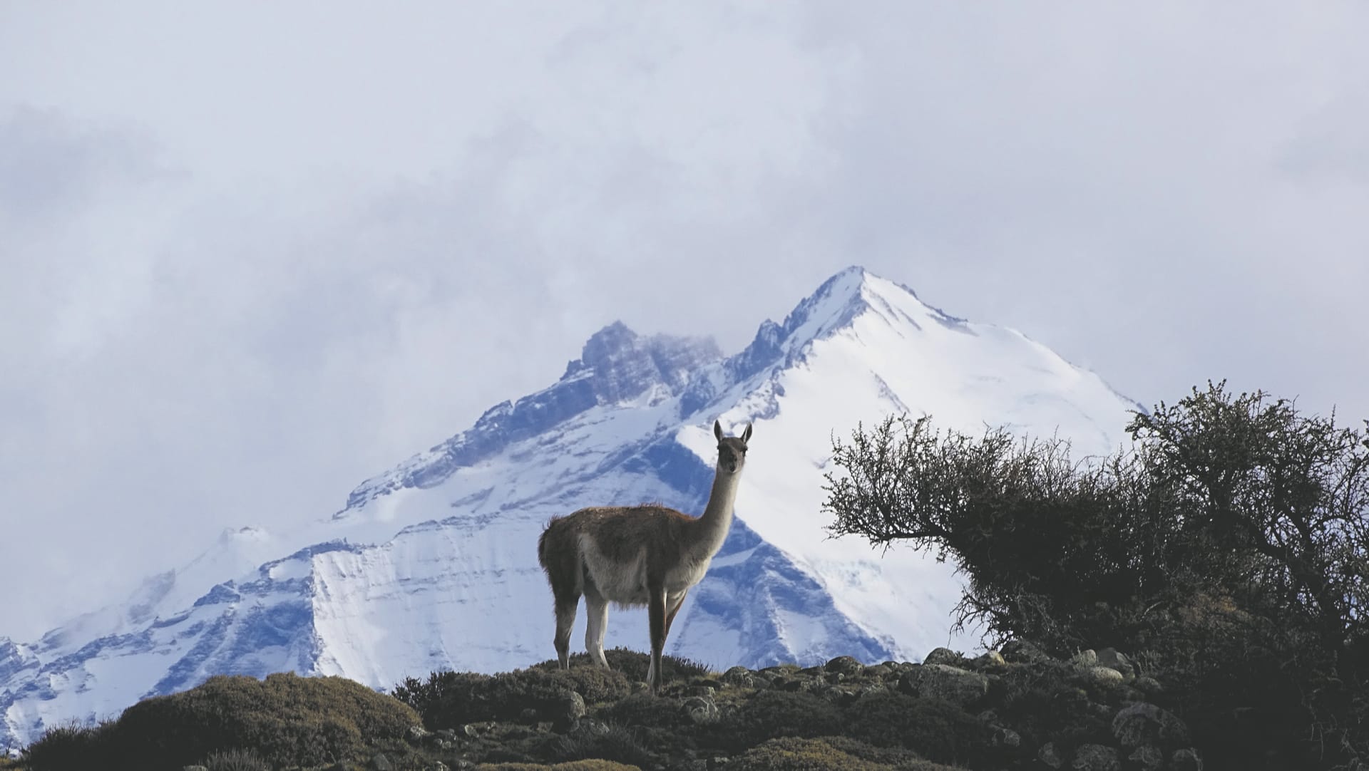 SAM_CHI_1167_20170531_PP