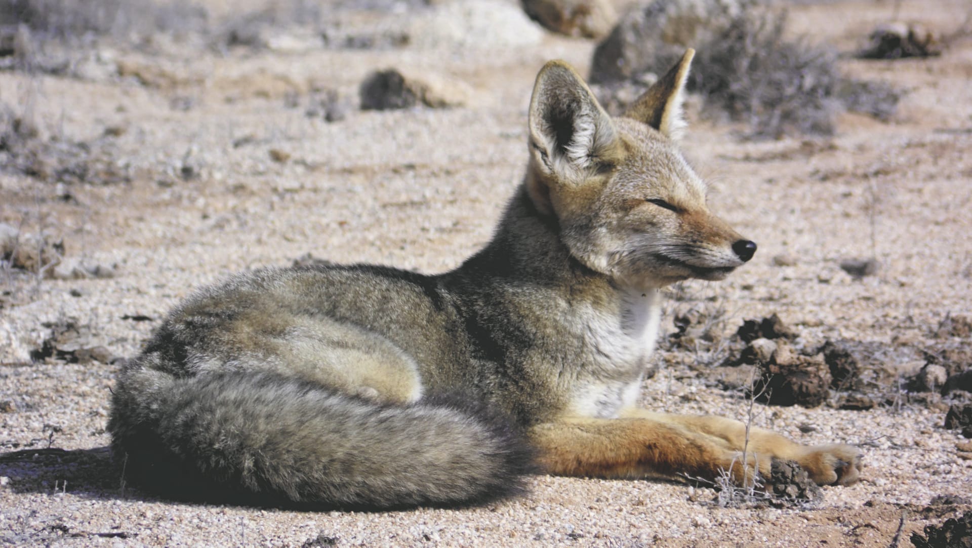 SAM_CHI_1312_20170804_PP