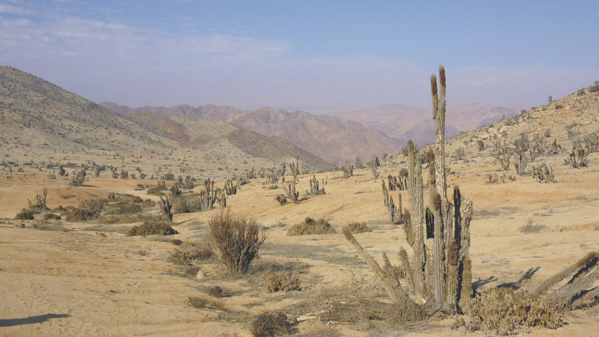 SAM_CHI_1315_20170804_PP