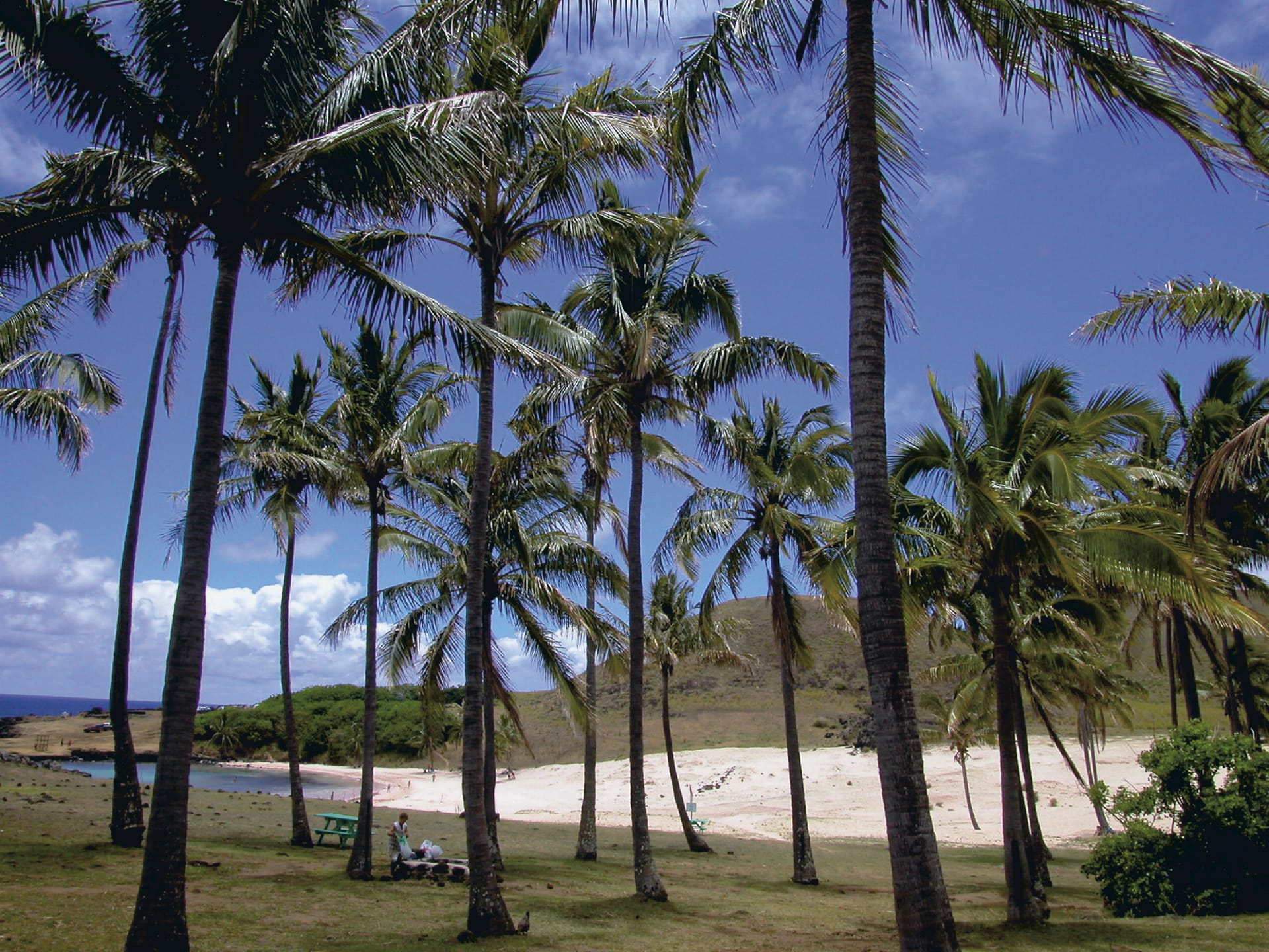 SAM_CHI_135_20081218_SS