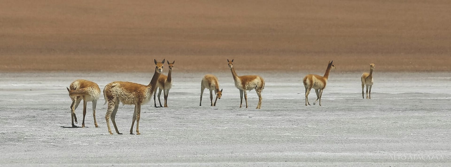 SAM_CHI_20180822_KHM_11