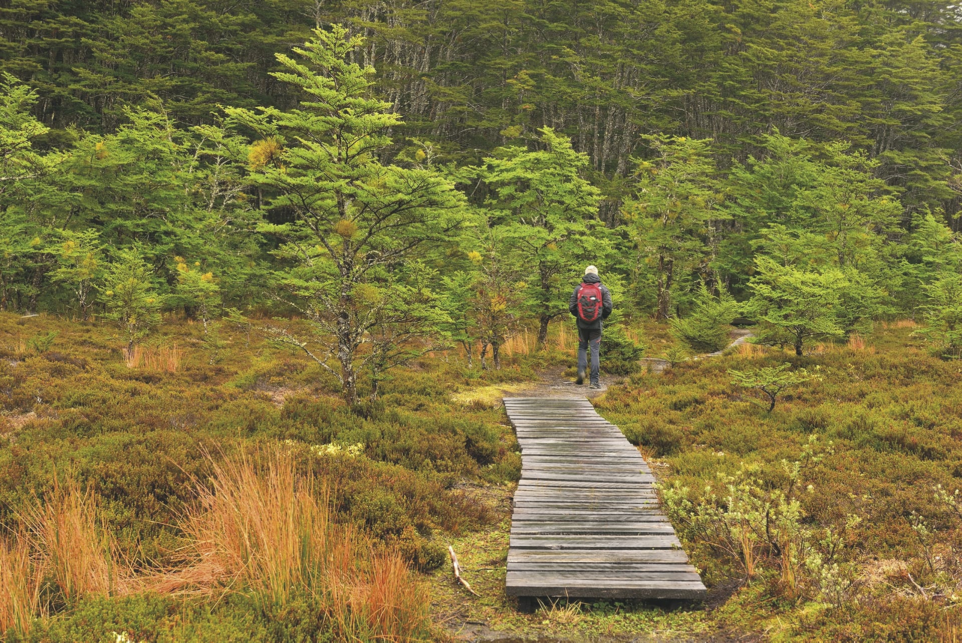 SAM_CHI_20180823_KHM_11