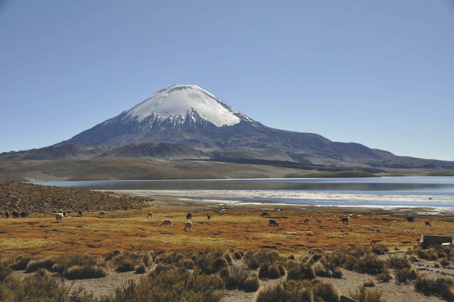 SAM_CHI_20180823_KHM_44