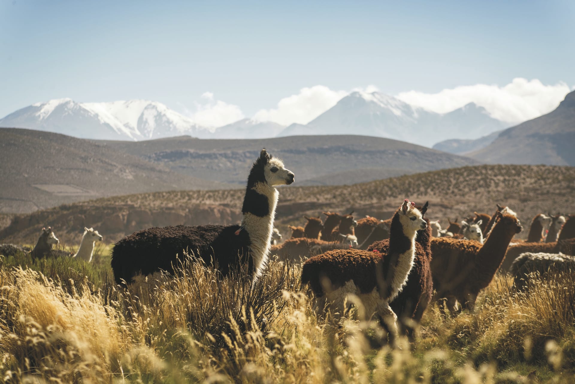 SAM_CHI_20190521_KHM_11