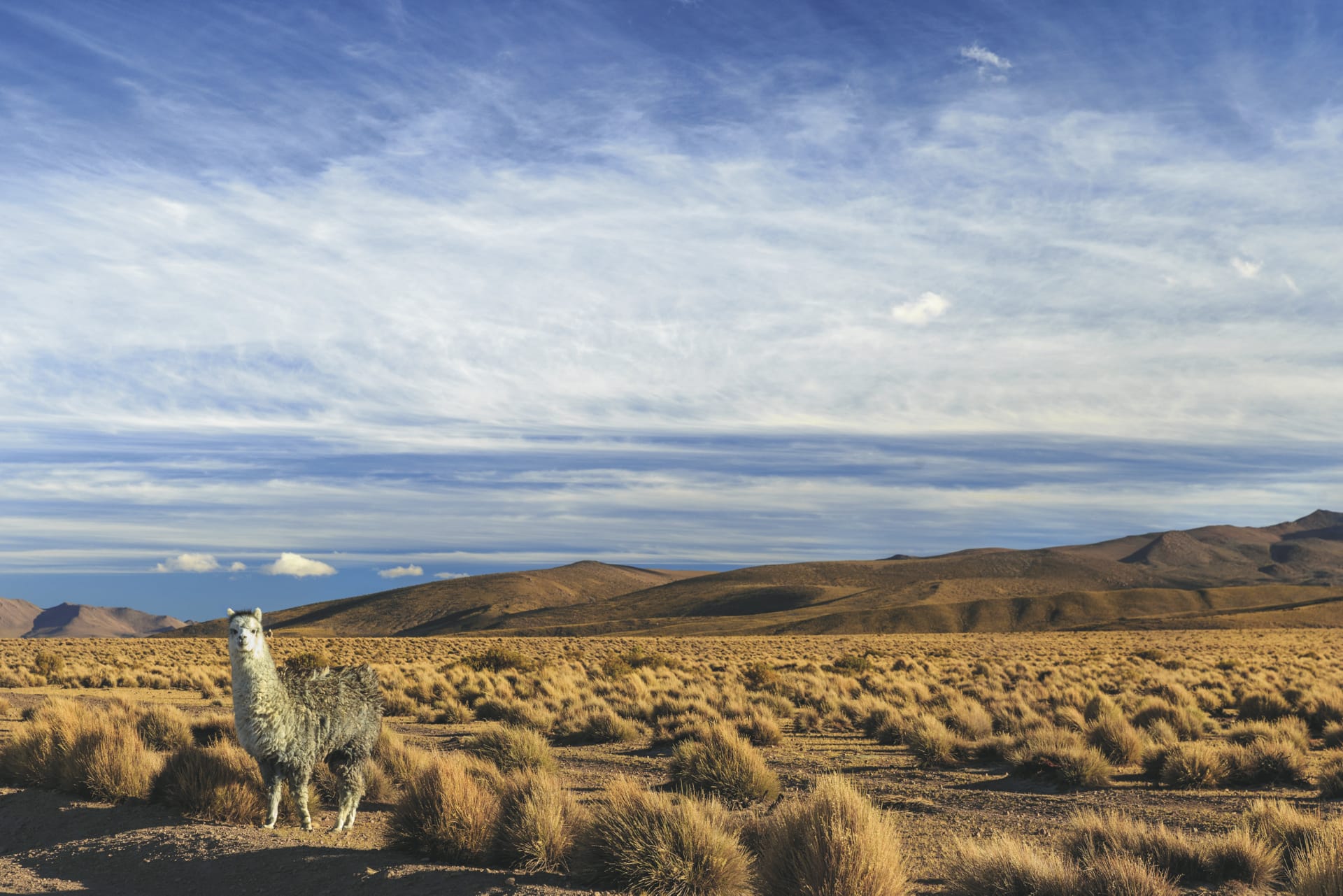 SAM_CHI_20190521_KHM_14