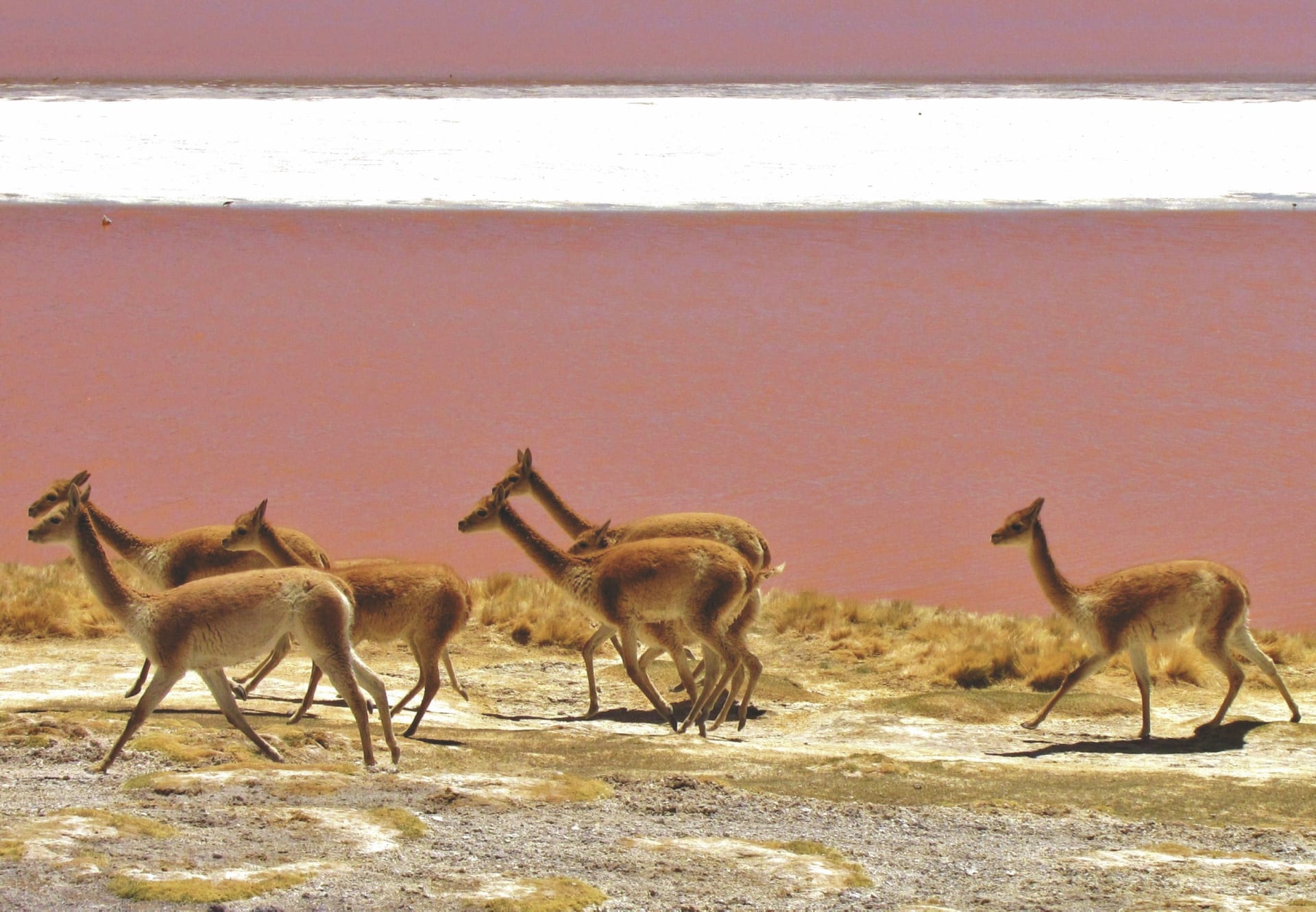 SAM_CHI_20191007_KHM_2