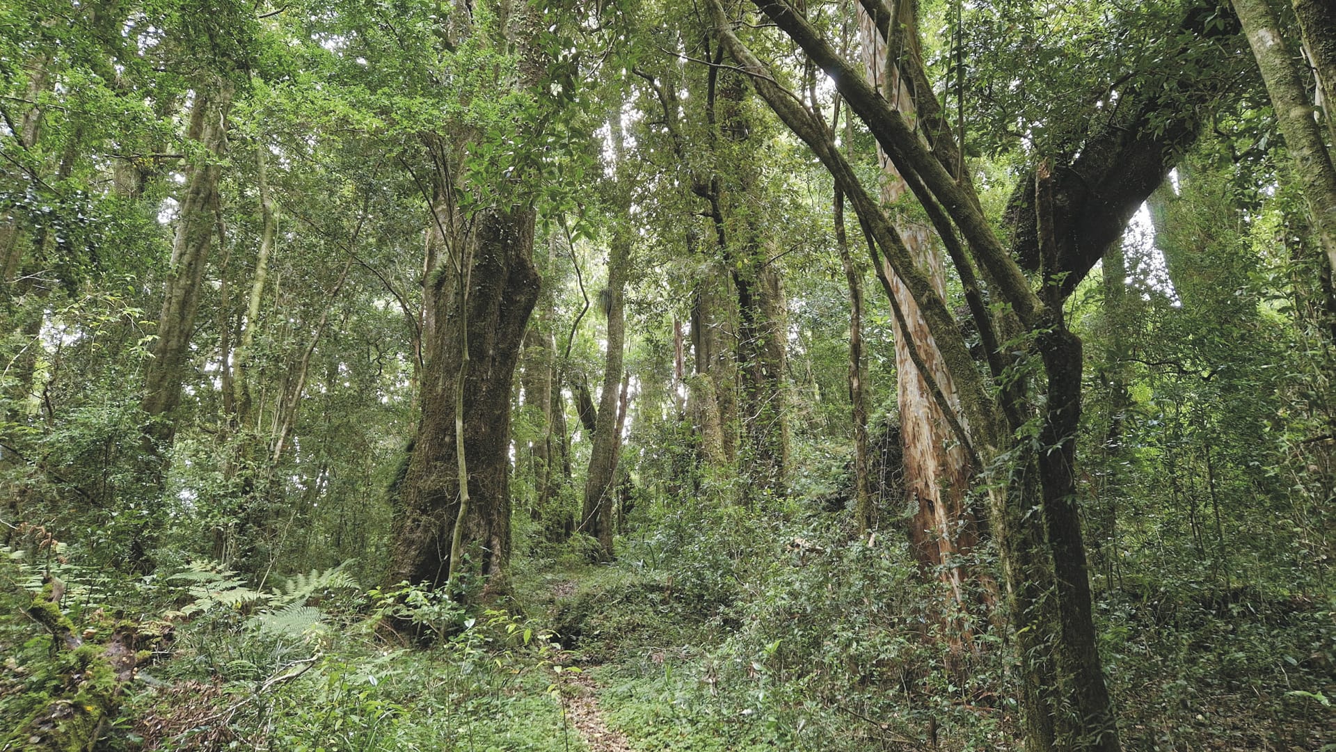 SAM_CHI_20240801_KHM_179