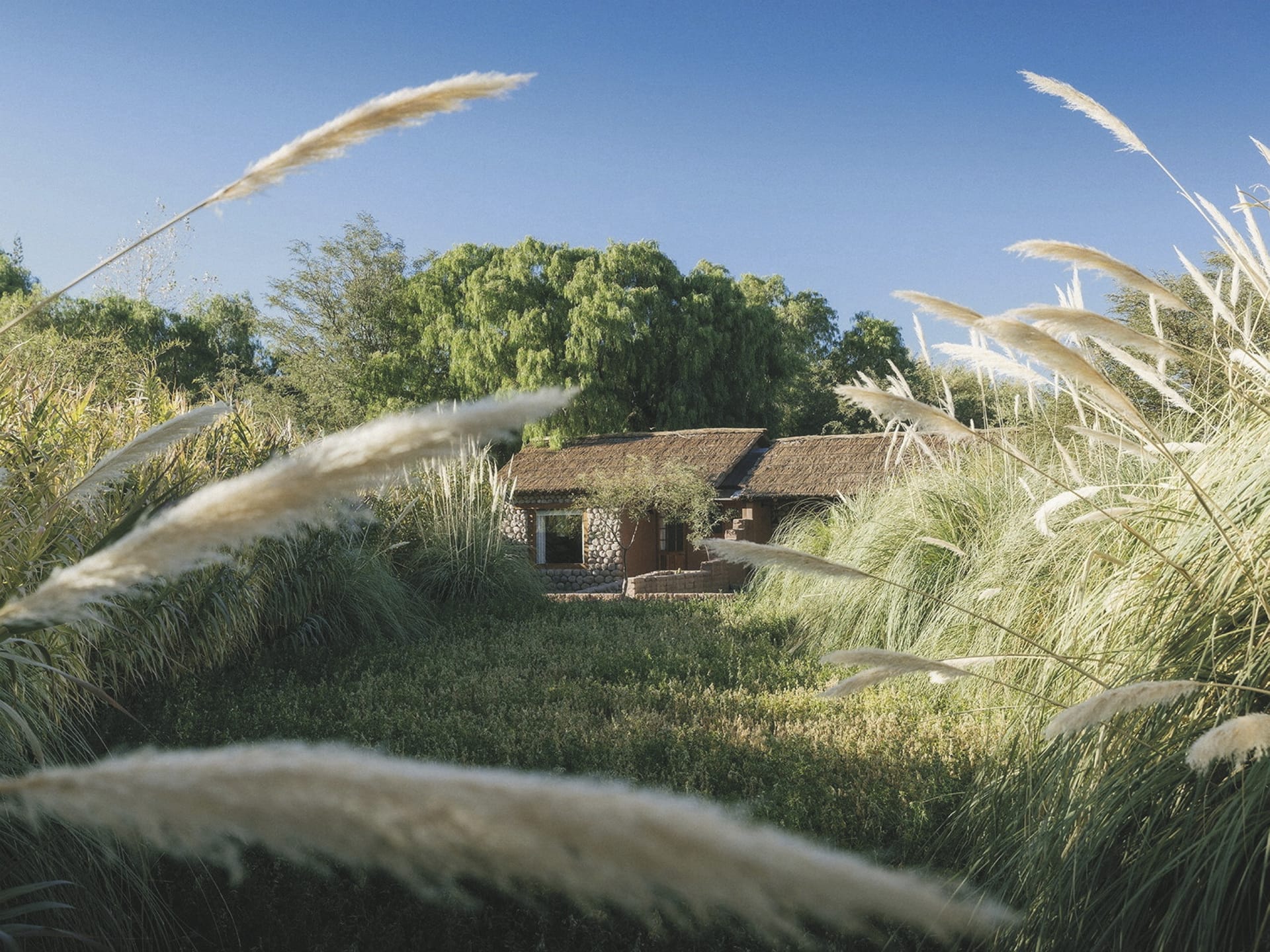 SAM_CHI_20241001_KHM_6