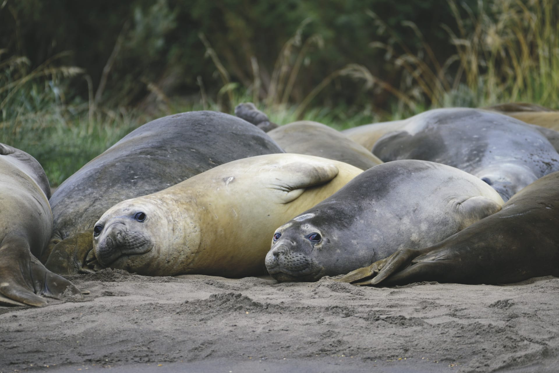 SAM_CHI_20250521_KHM_6