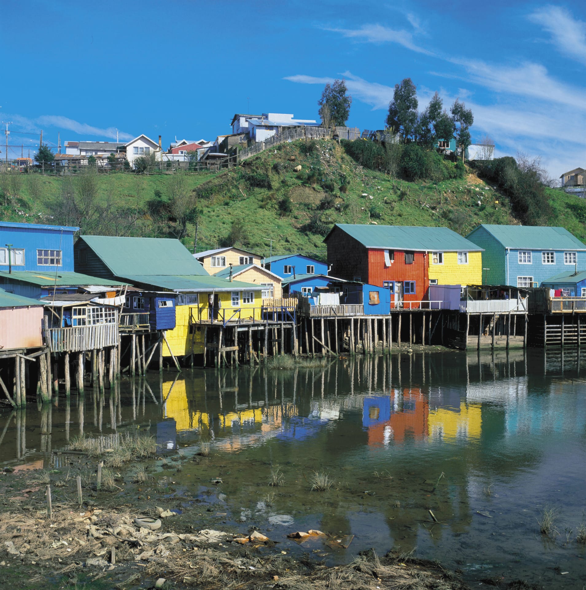 SAM_CHI_219_20090114_SS