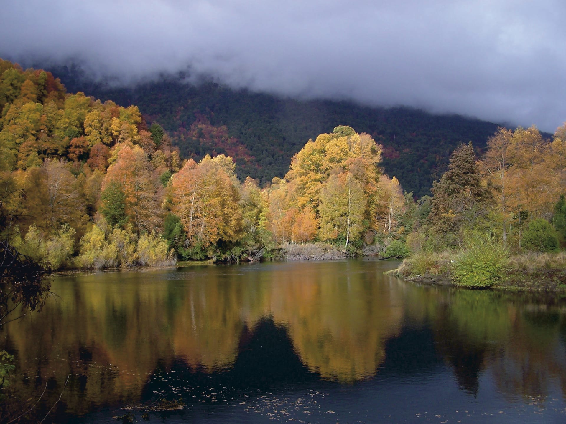 SAM_CHI_263_20101020_PP