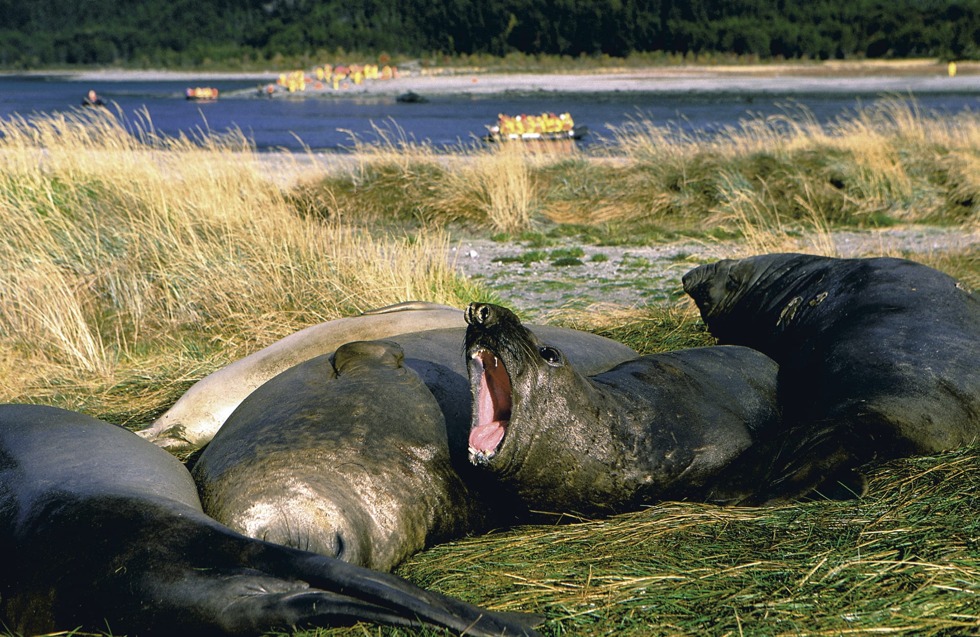 SAM_CHI_305_20121022_PP