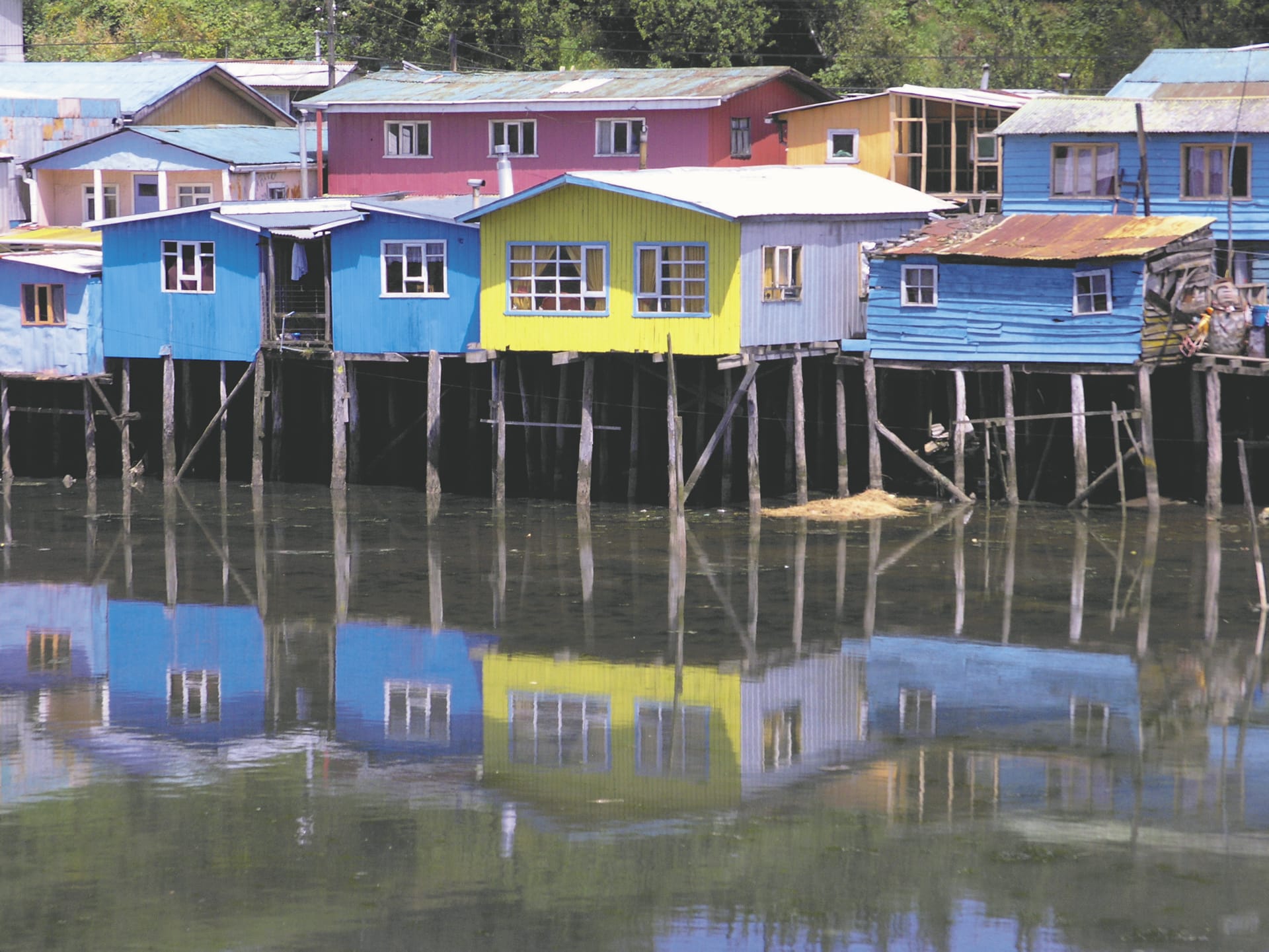 SAM_CHI_309_20151019_PP