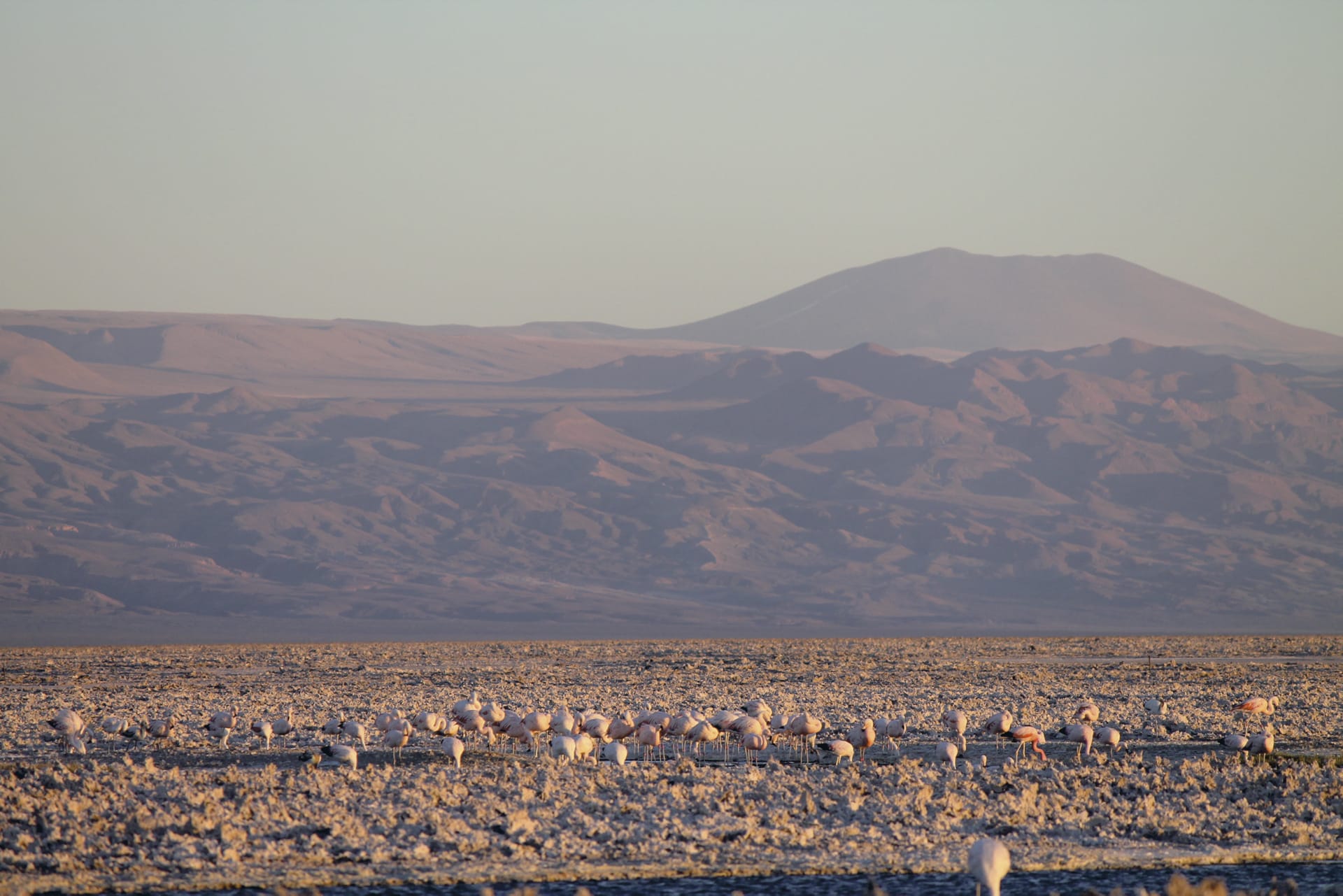 SAM_CHI_368_20131018_PP