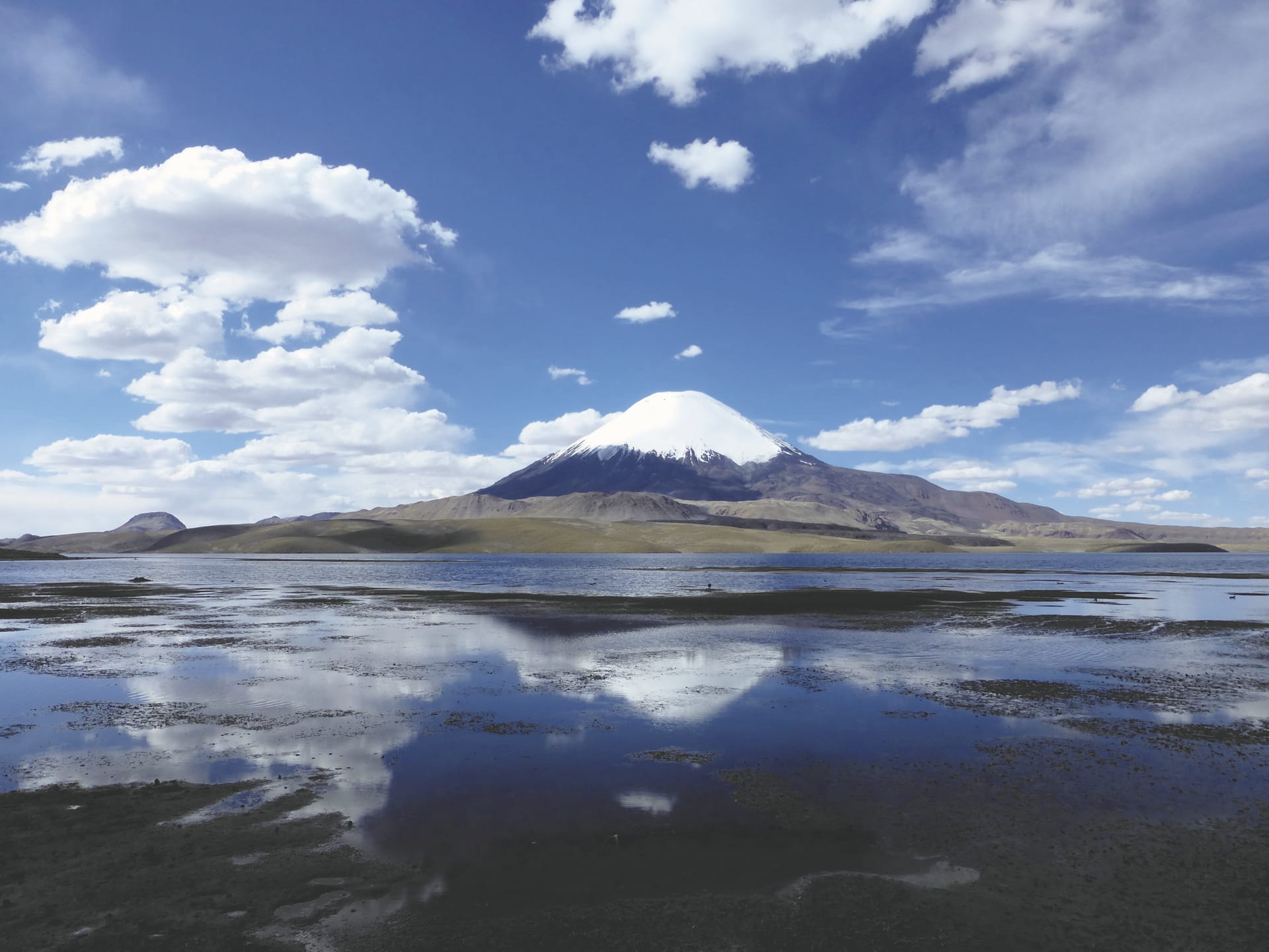 SAM_CHI_465_20150813_PP