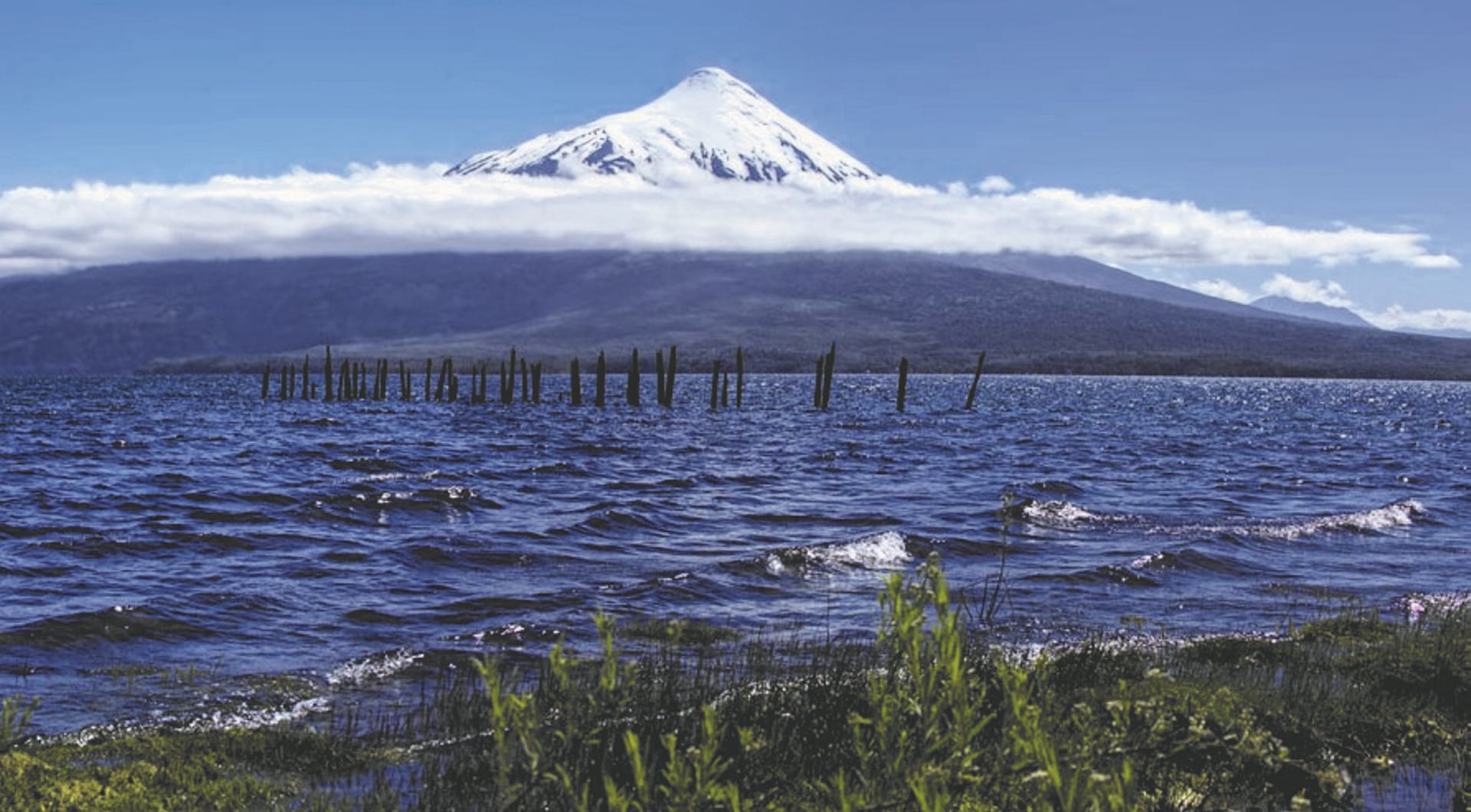 SAM_CHI_759_20161005_PP