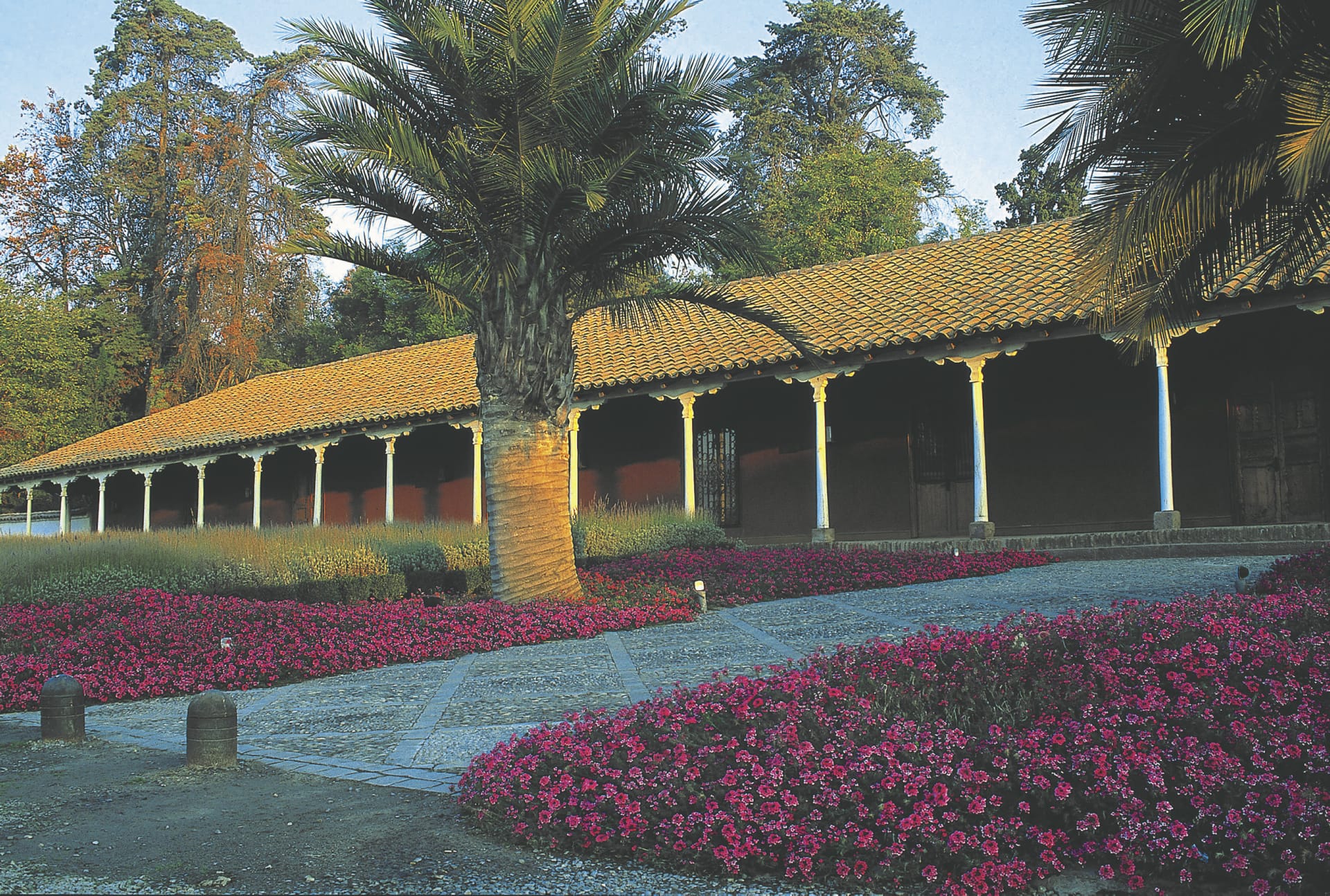 SAM_CHI_767_20161006_PP