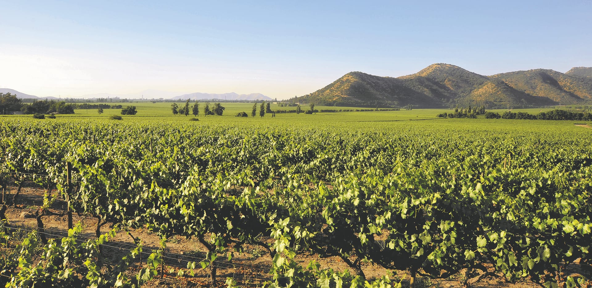 SAM_CHI_770_20161006_PP