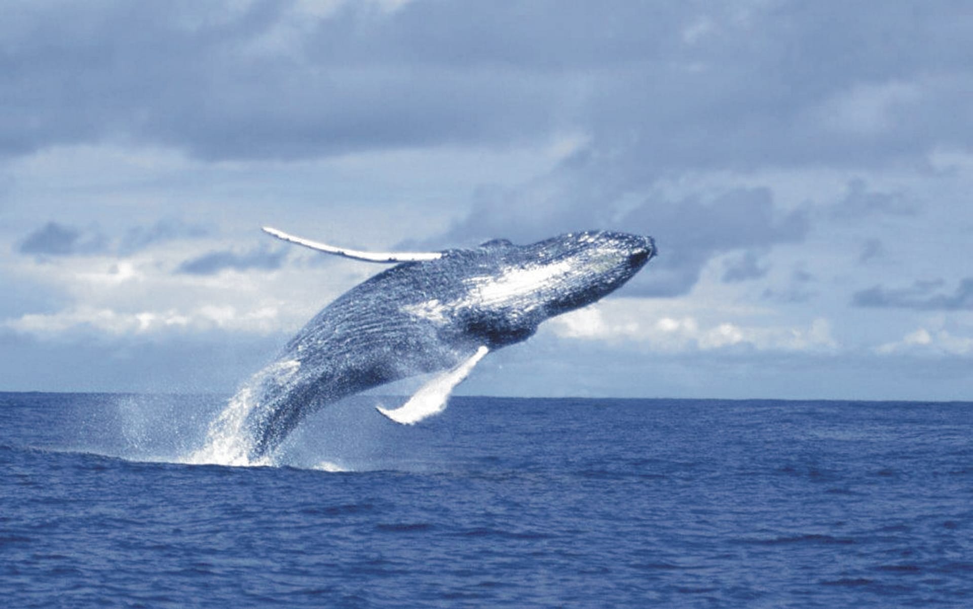 SAM_CO_003_20140121_ss