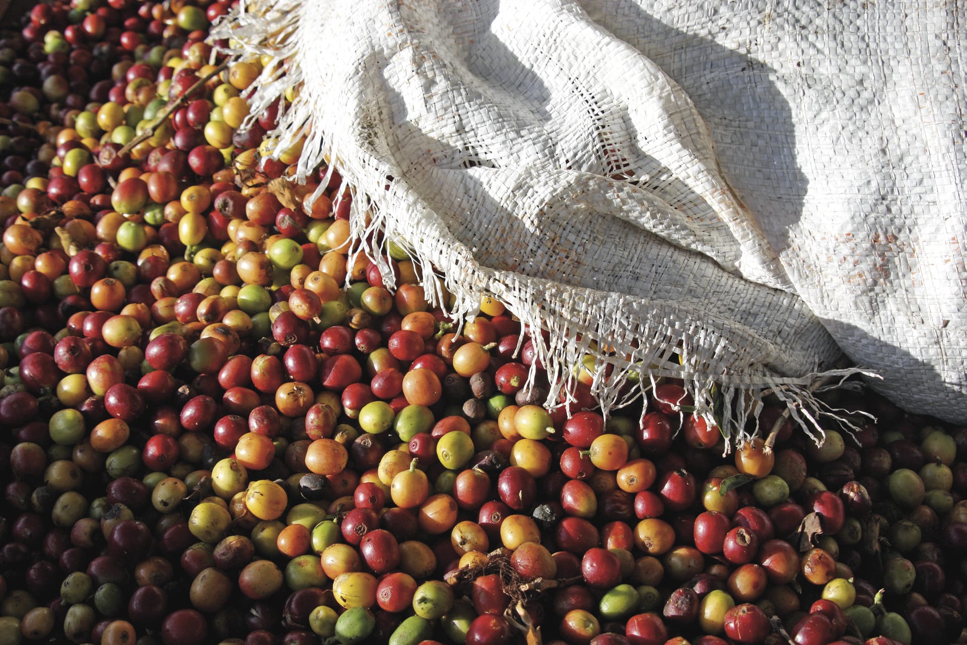 SAM_CO_005_20131205_ss