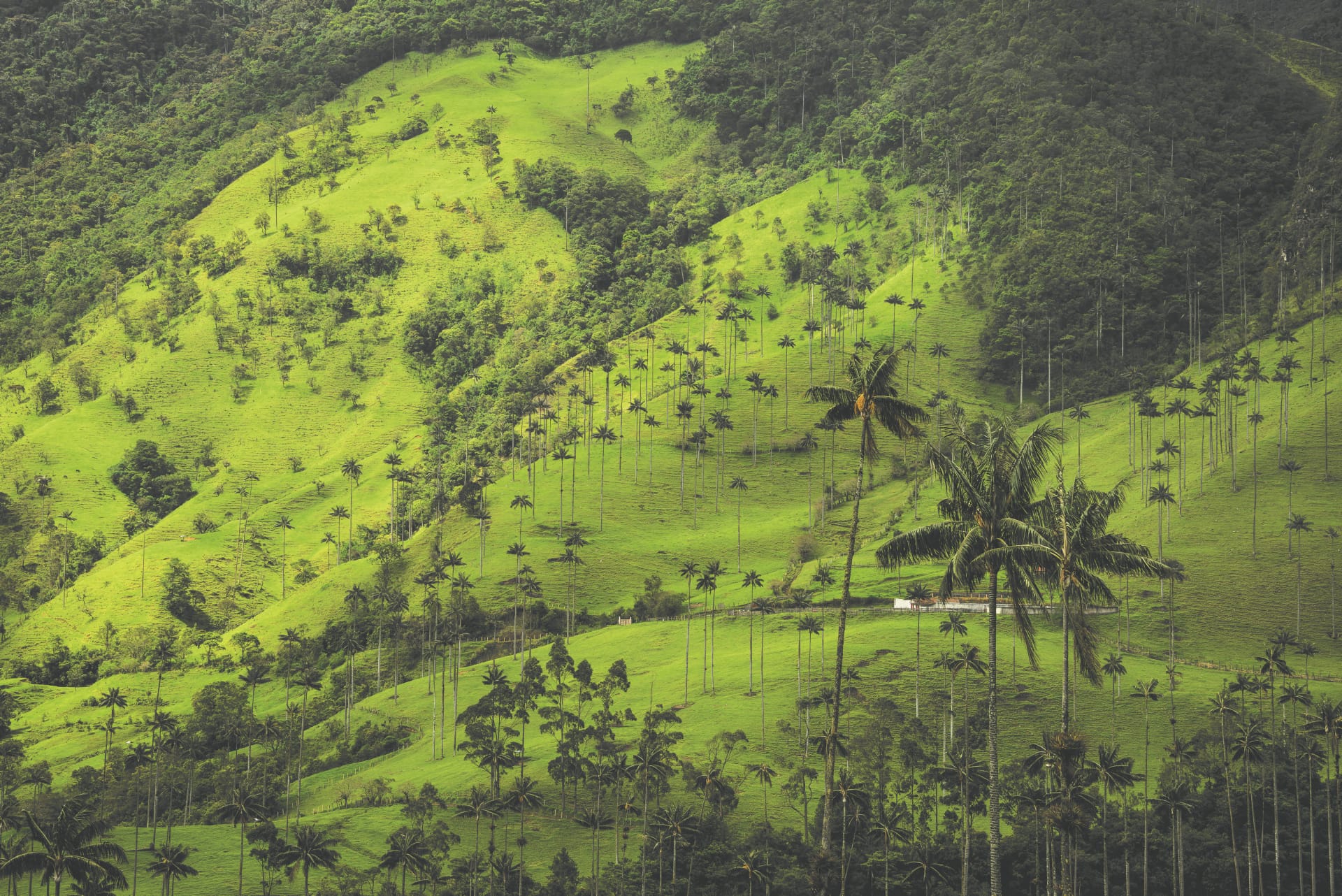 SAM_CO_006_20161007_DTT