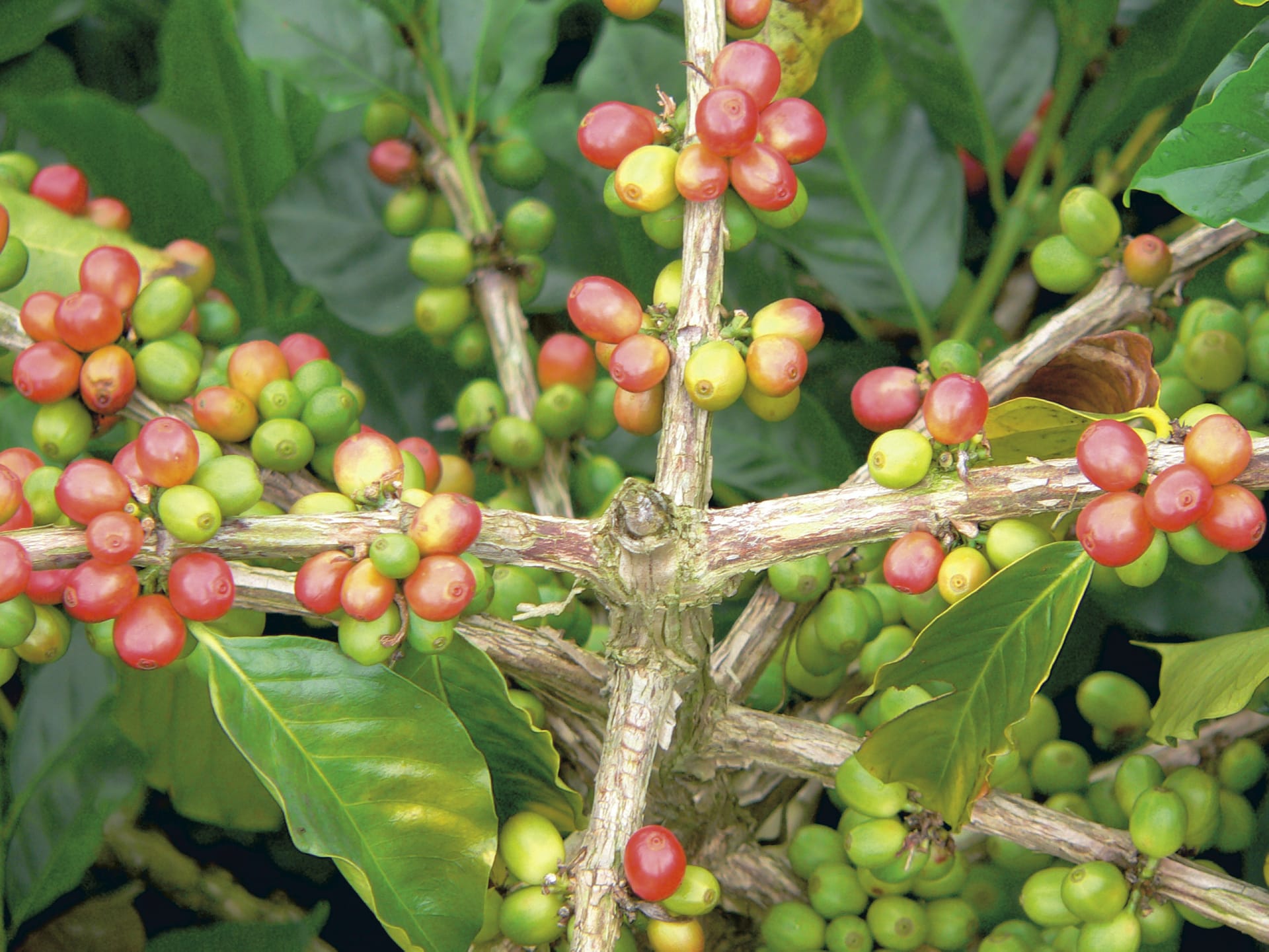 SAM_CO_012_20101115_PP