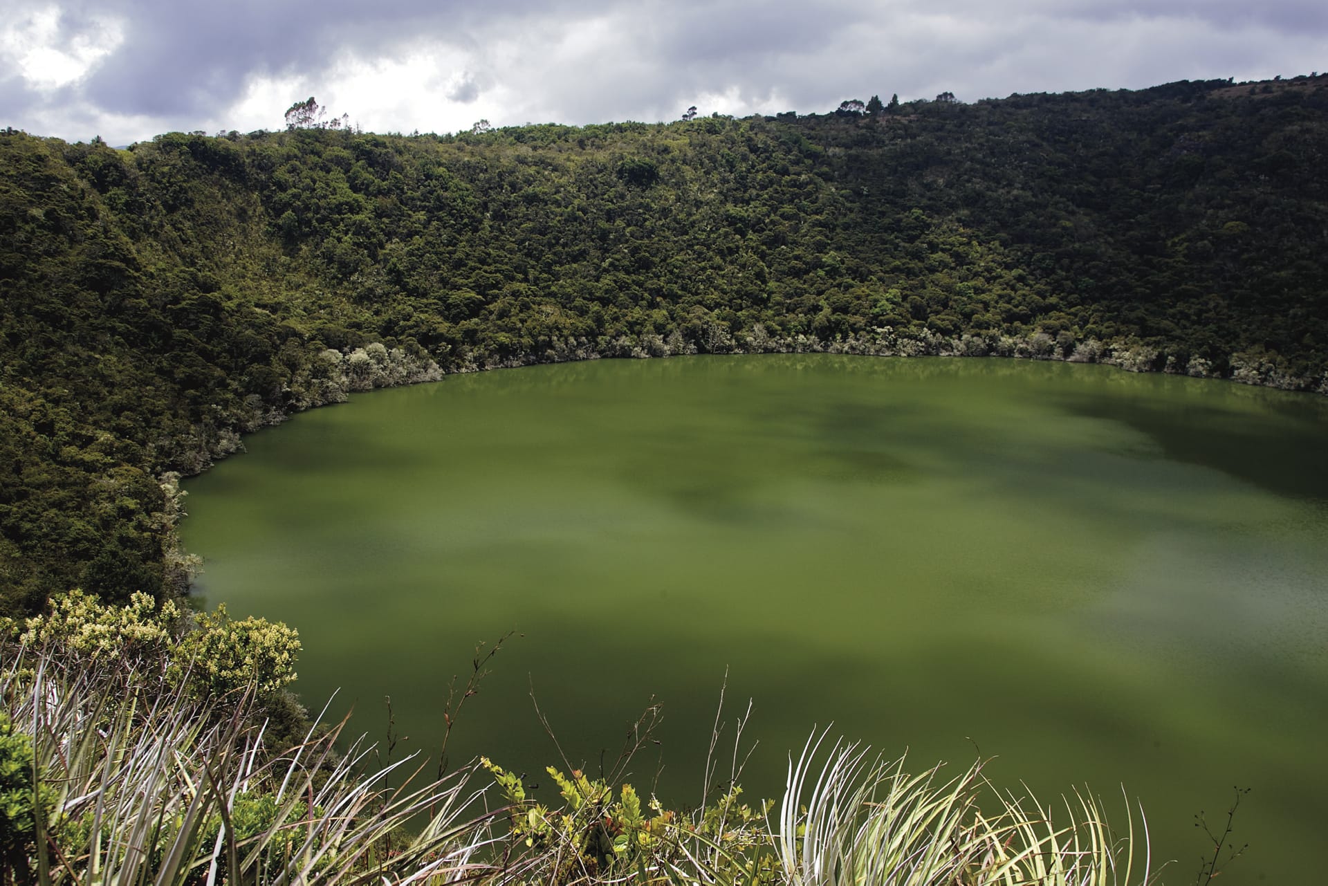 SAM_CO_019_20131205_ss