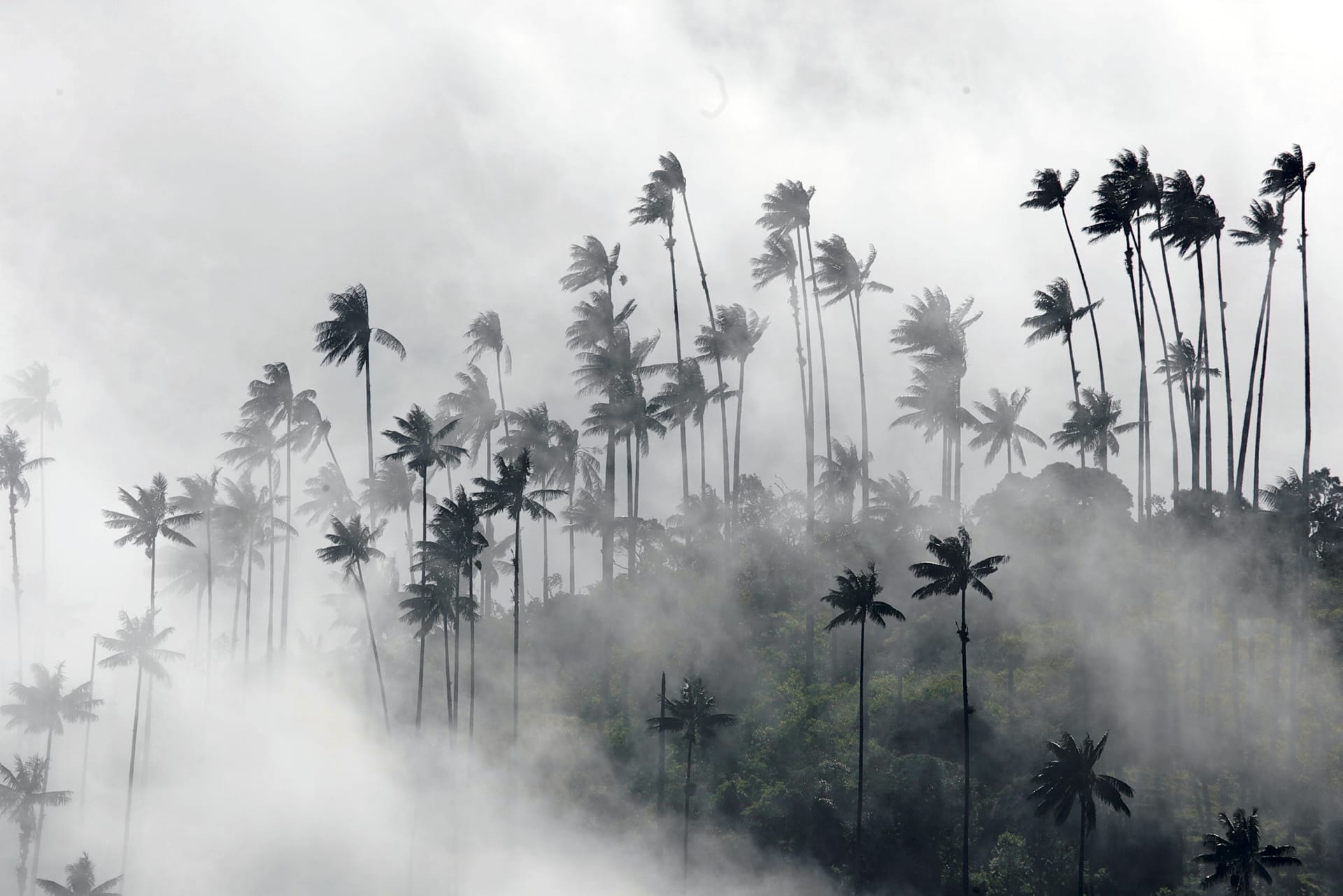 SAM_CO_029_20131205_ss