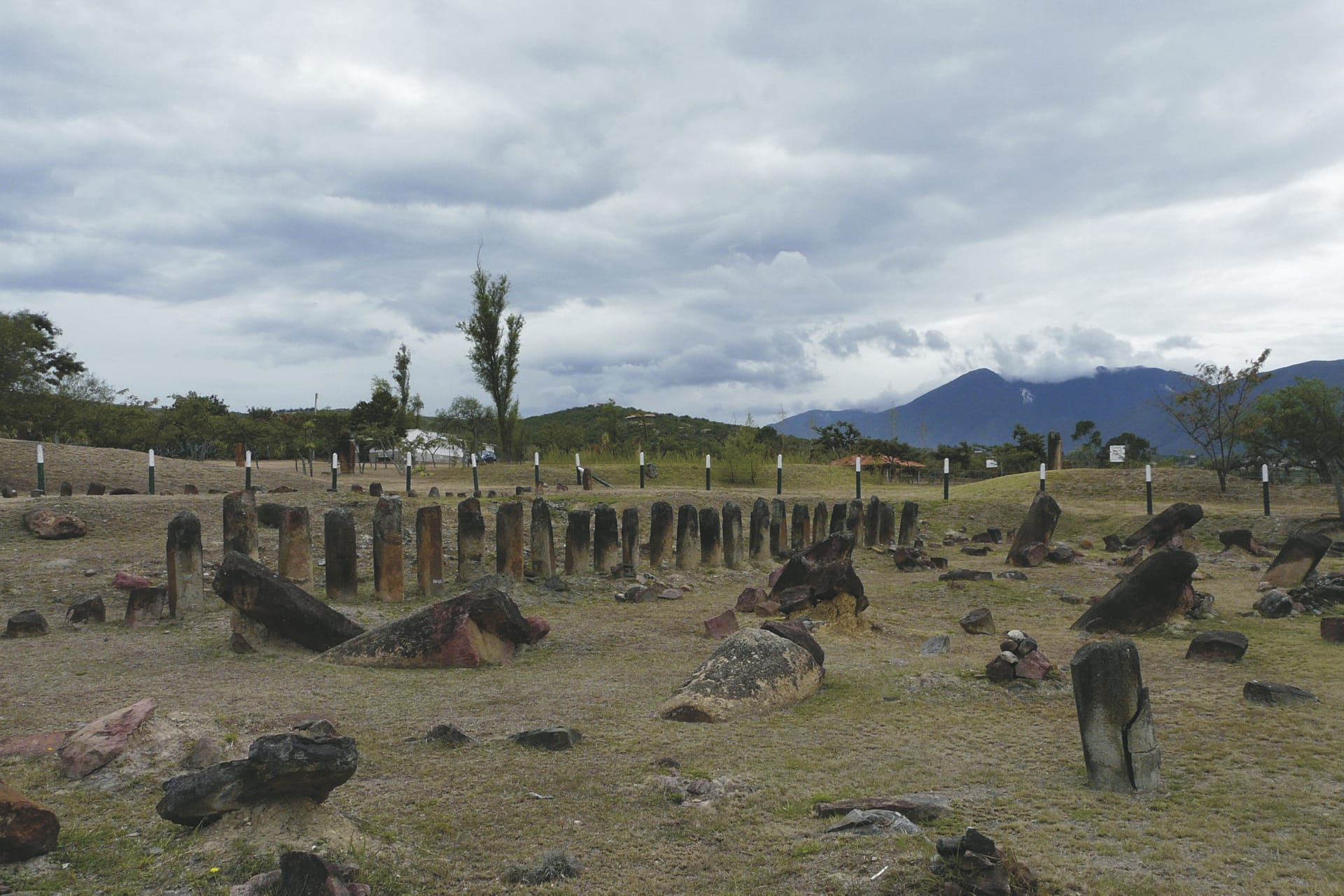 SAM_CO_20190117_IW_10