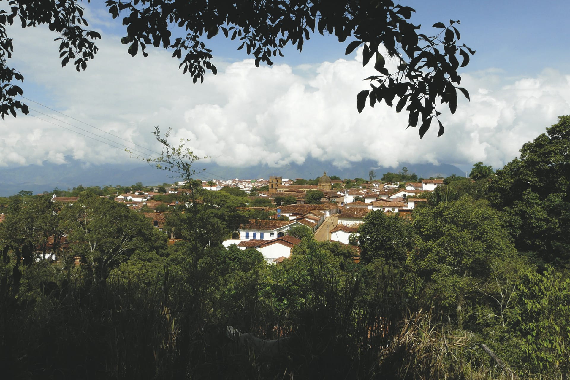 SAM_CO_20190117_IW_13