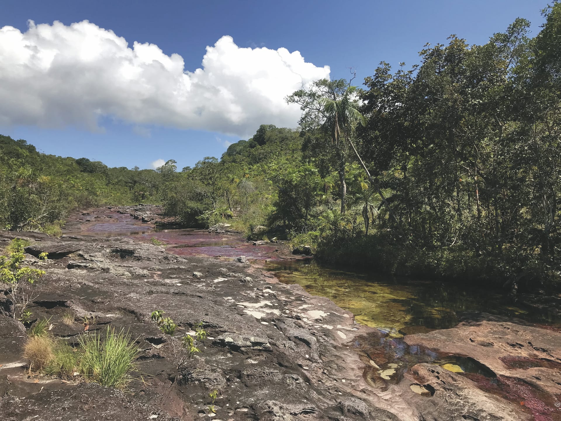 SAM_CO_20190920_MB_10