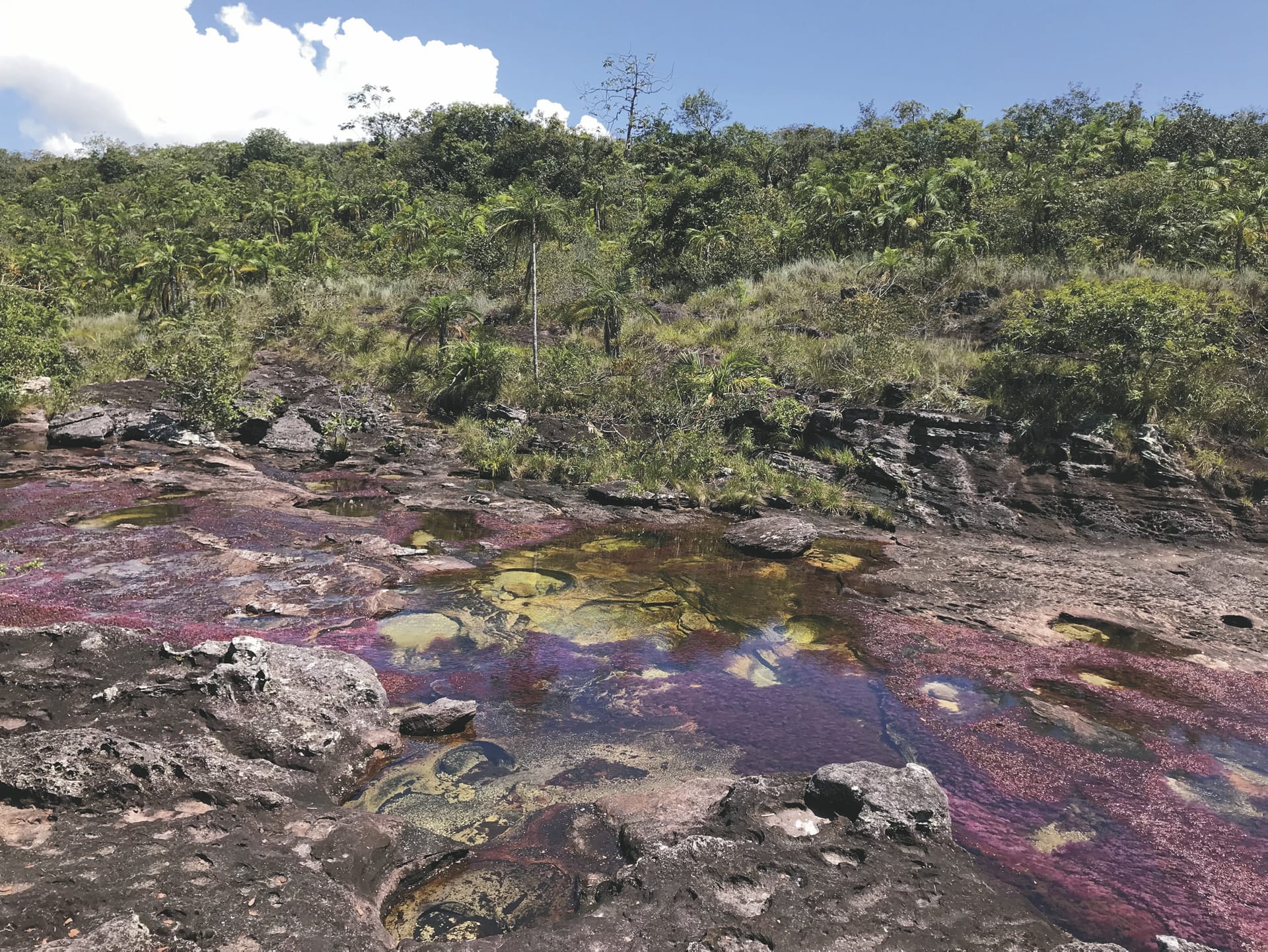 SAM_CO_20190920_MB_12