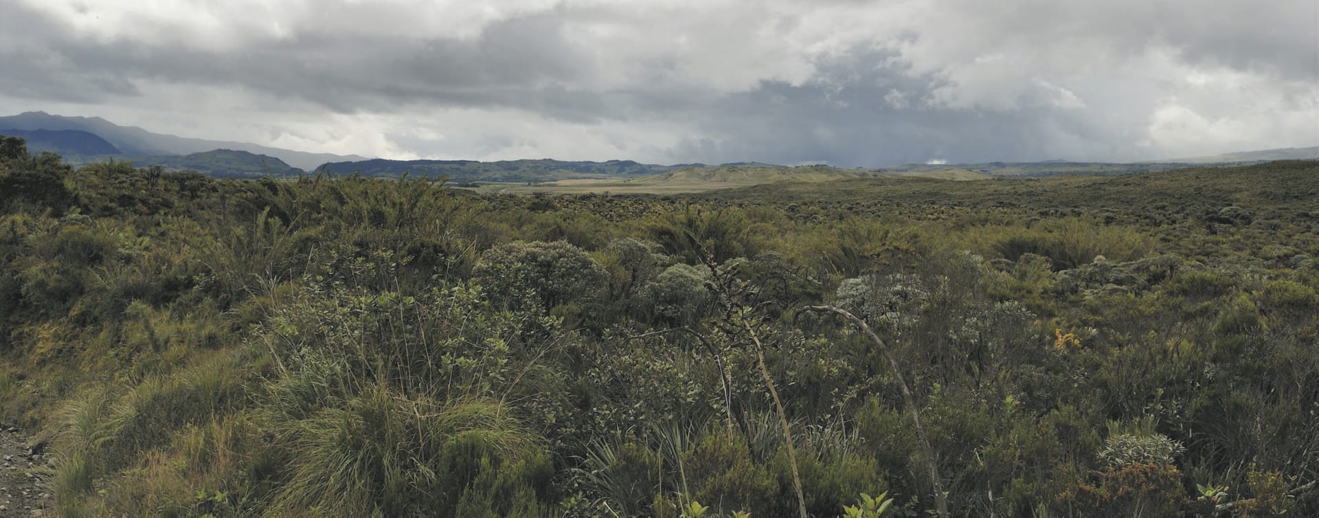 SAM_CO_20191012_MB_1_6