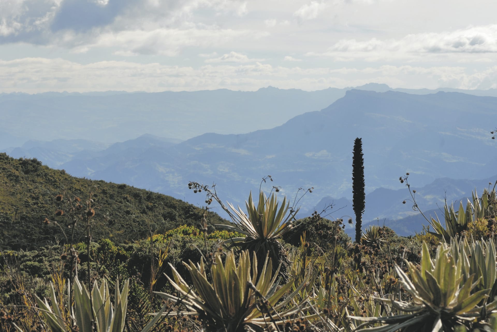 SAM_CO_20191012_MB_2