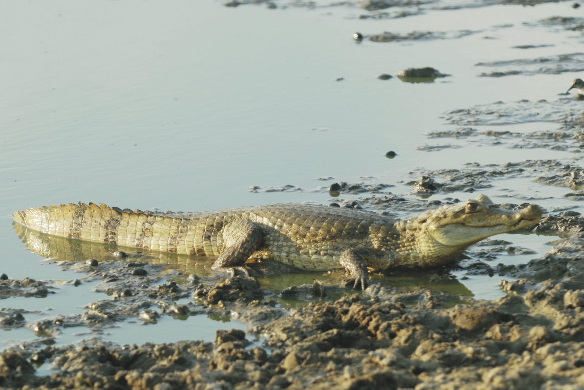 SAM_CO_20221010_MB_3