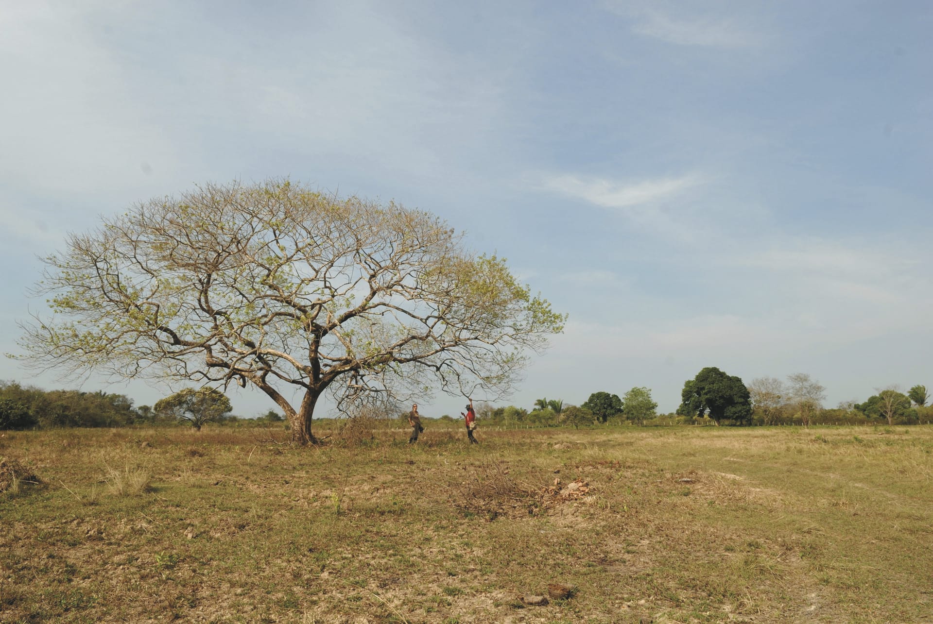 SAM_CO_20221010_MB_4