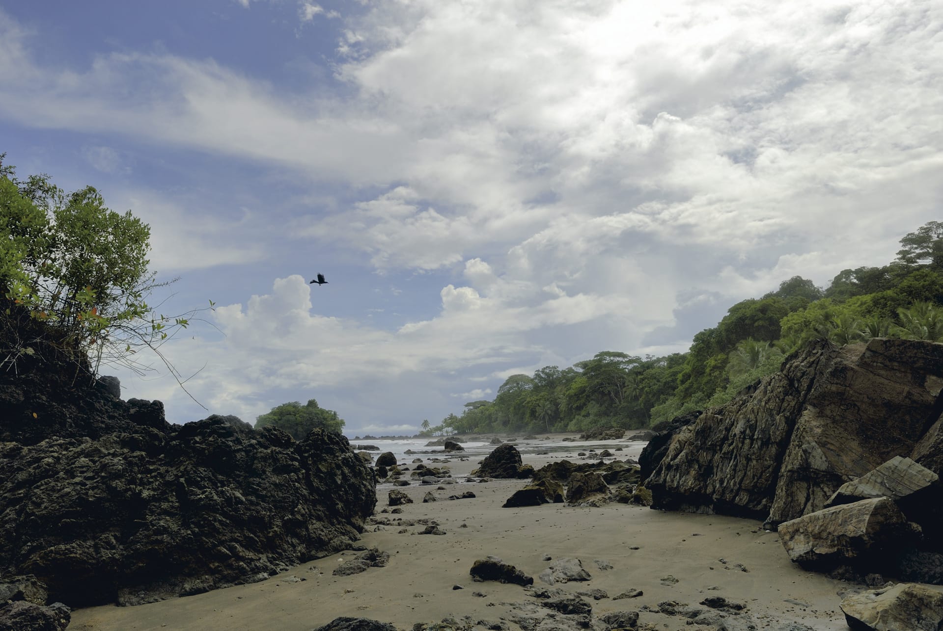 SAM_CO_334_20121022_PP