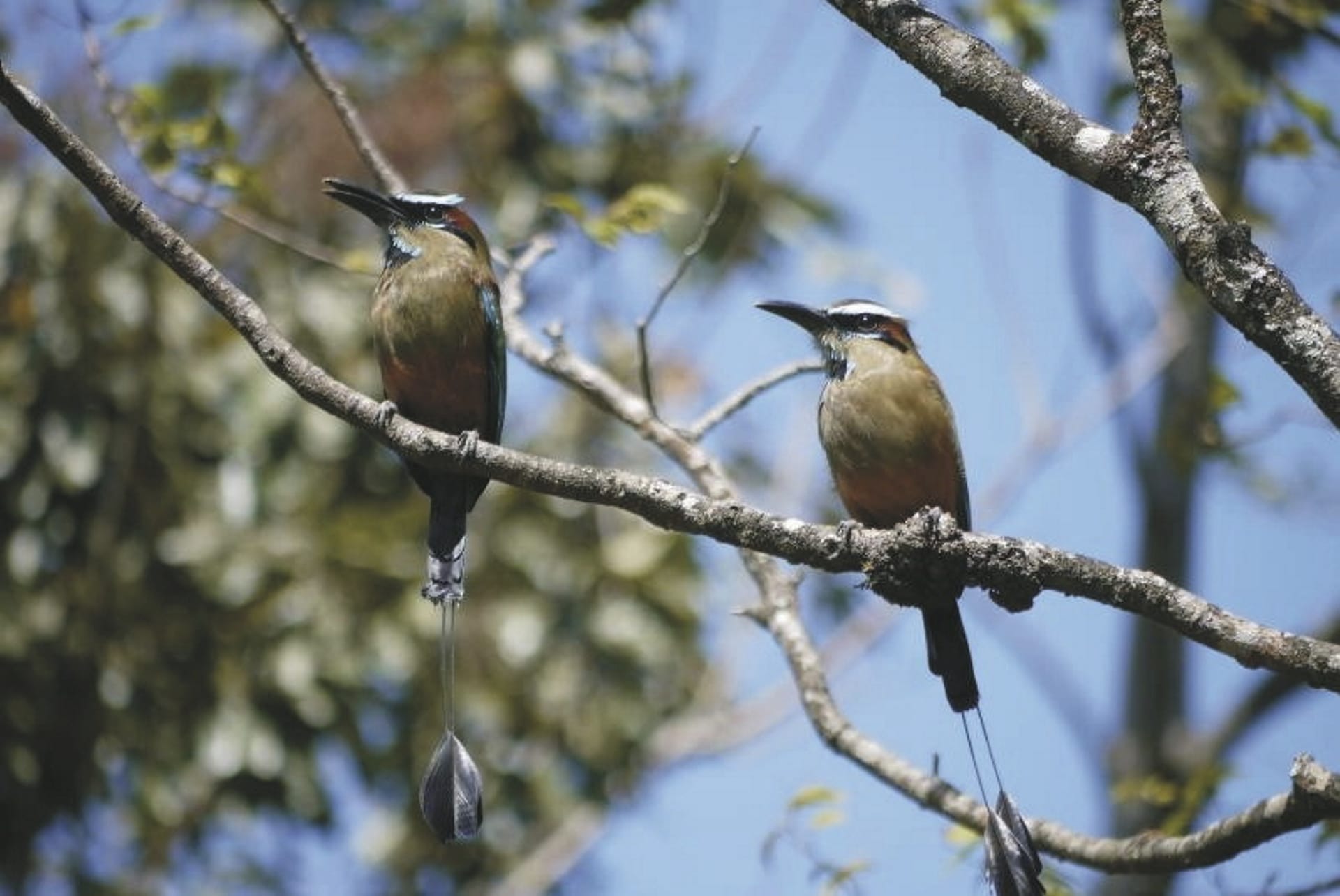 SAM_CR_20211027_NH_6