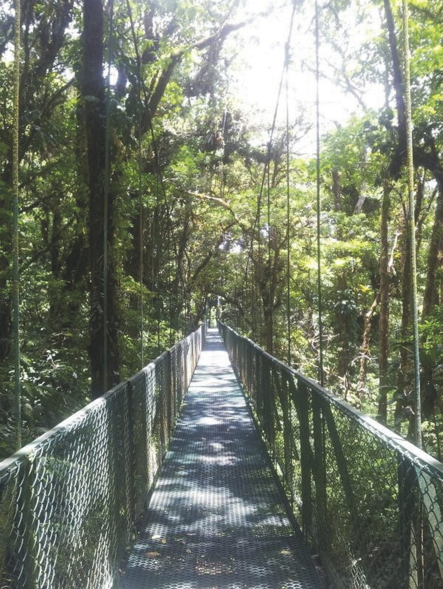 SAM_CR_20211027_NH_7