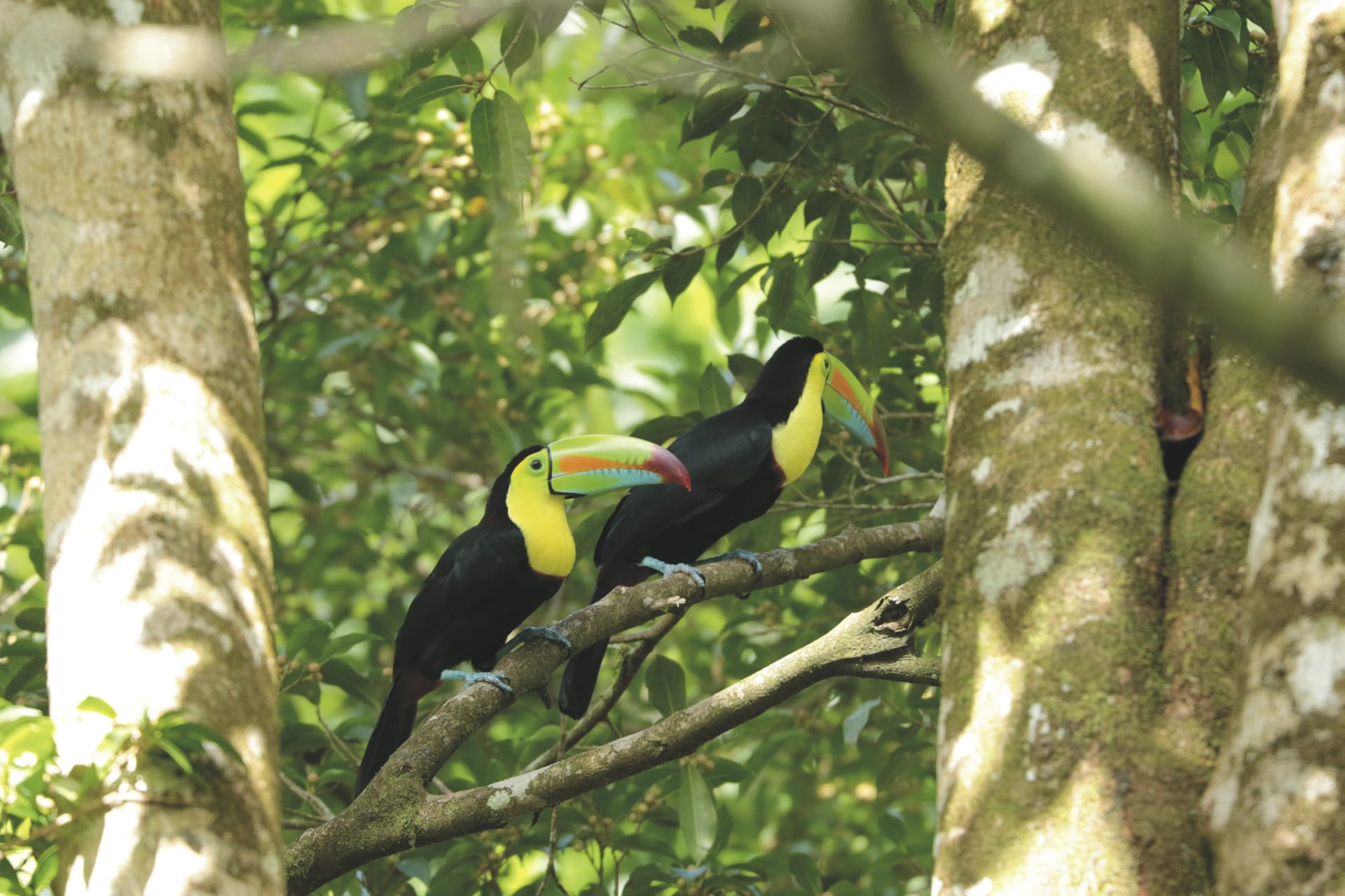 SAM_CR_20211103_NH_3