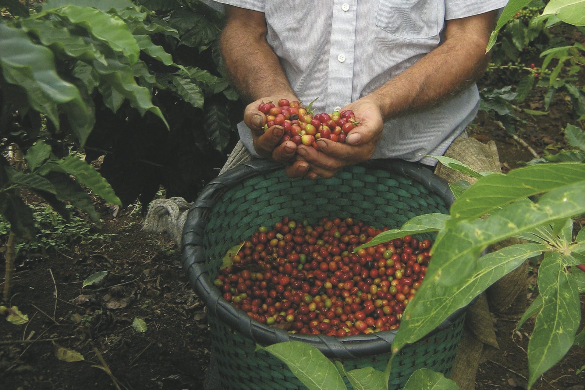 SAM_CR_20211103_NH_4